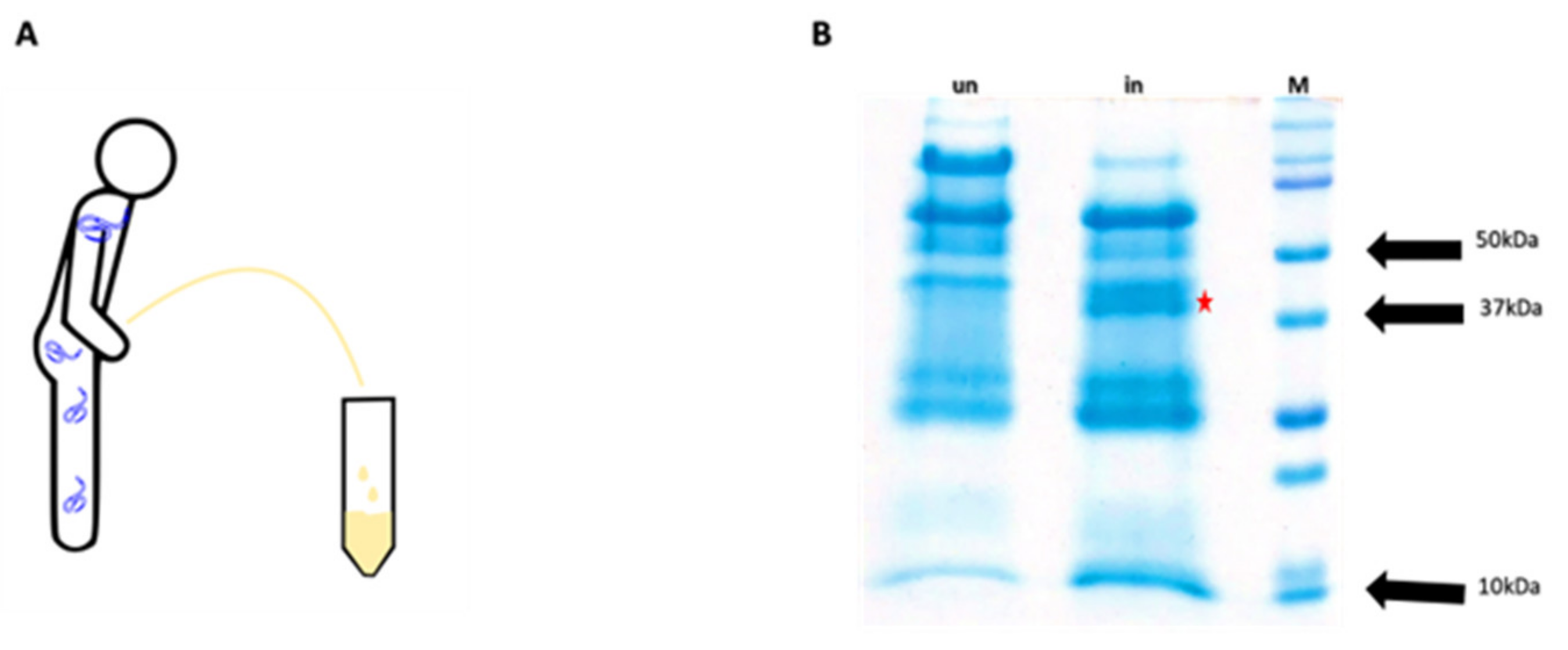 Pathogens 13 00293 g001