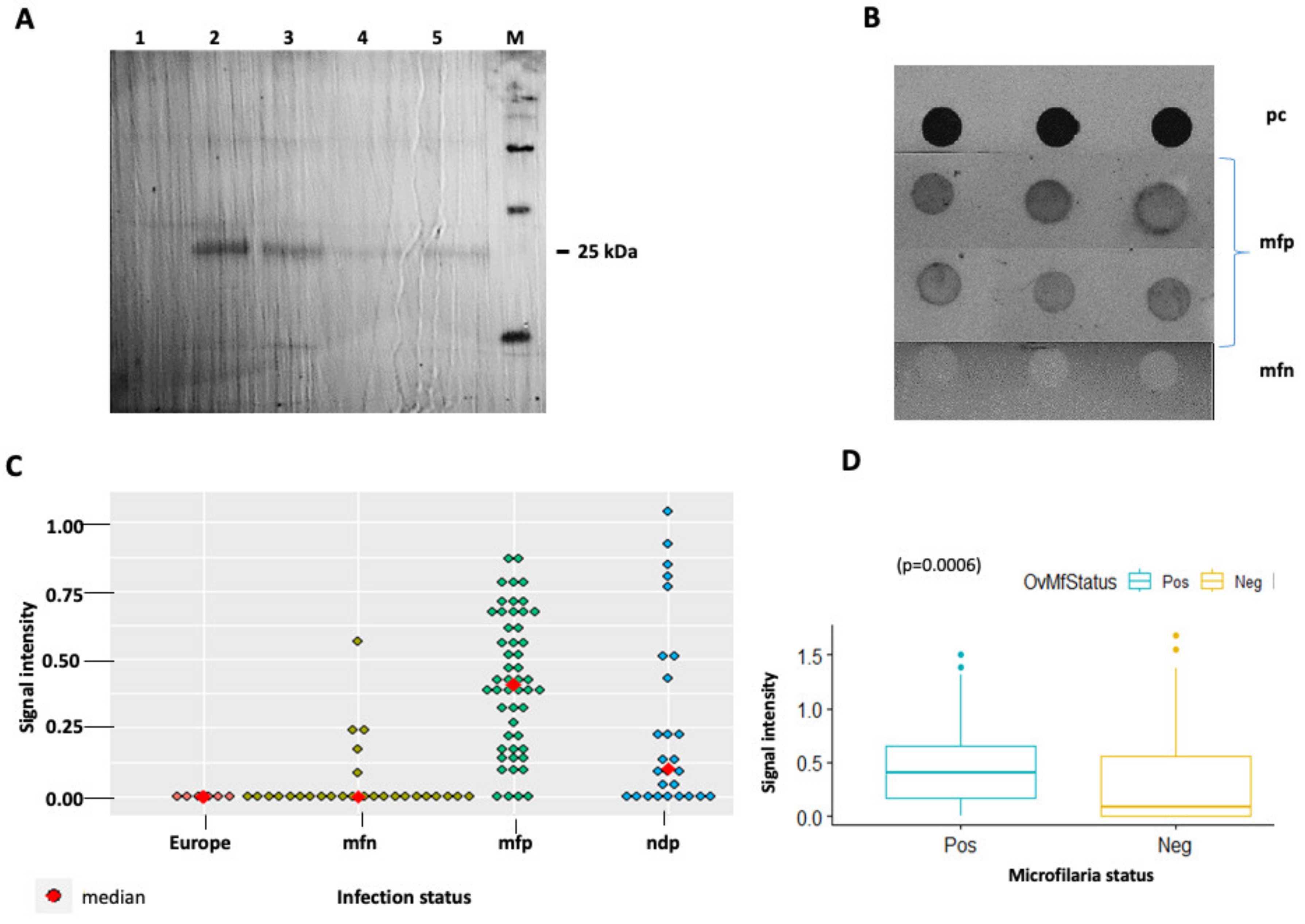 Pathogens 13 00293 g004