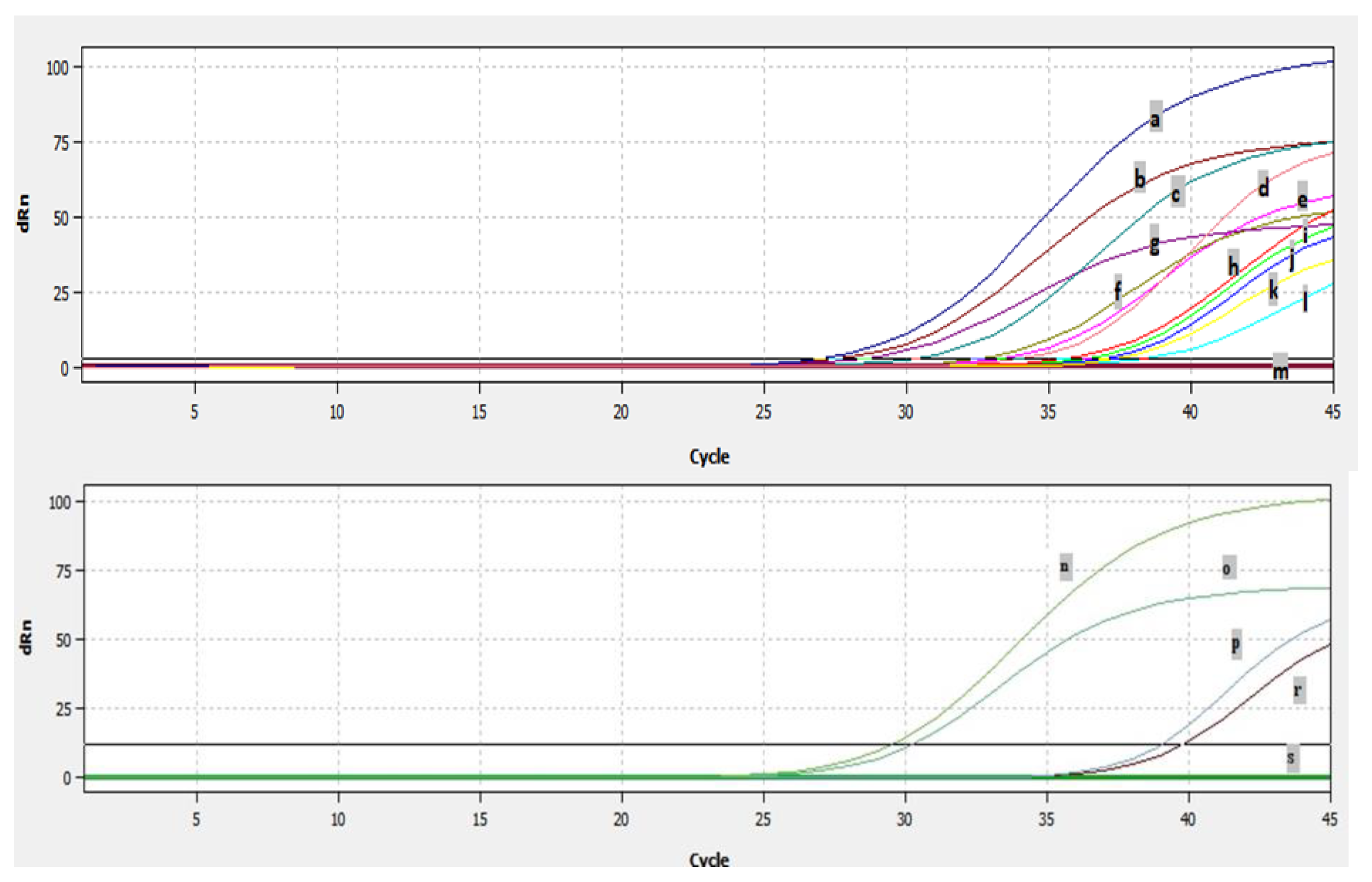 Pathogens 13 00304 g007