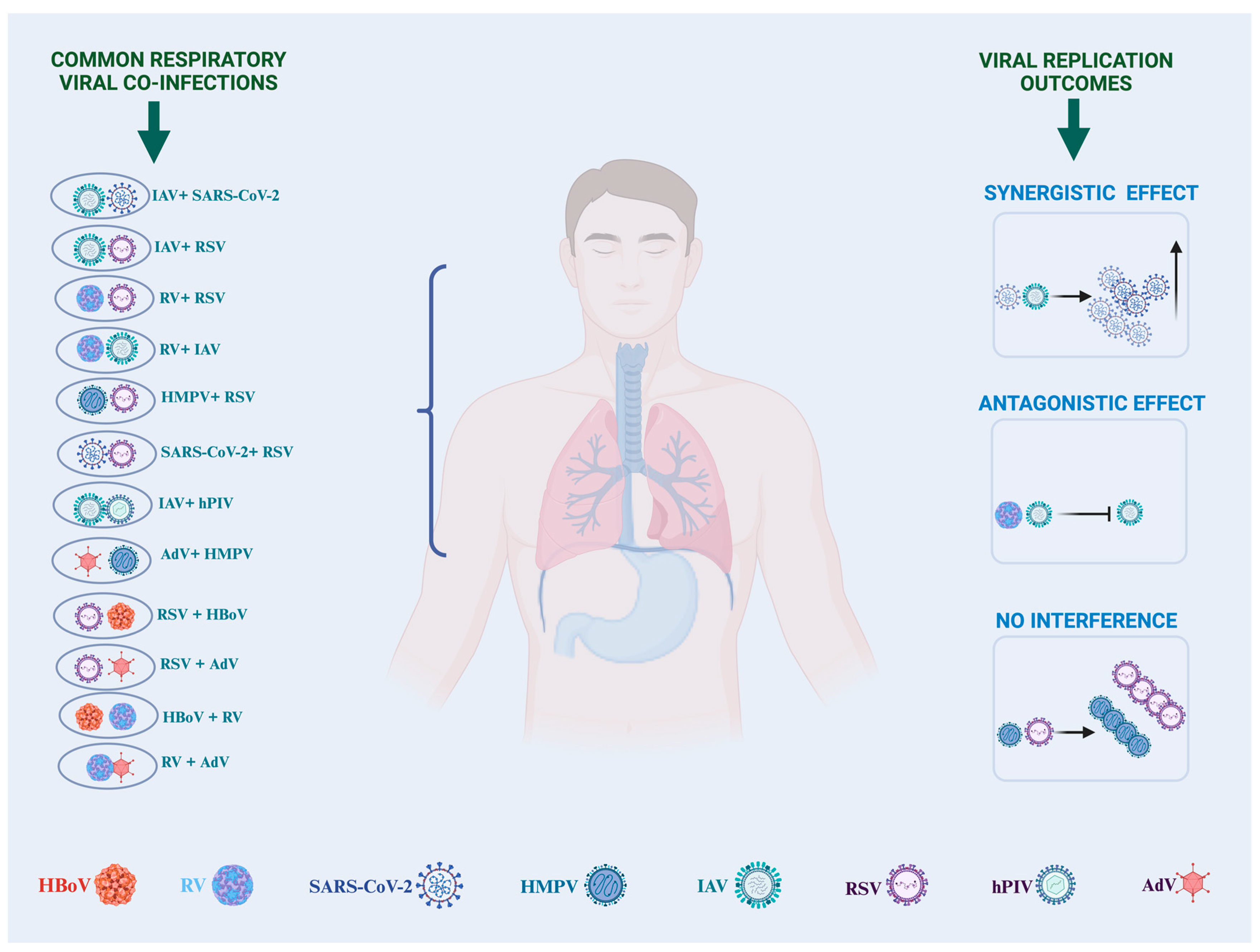 Pathogens 13 00316 g001