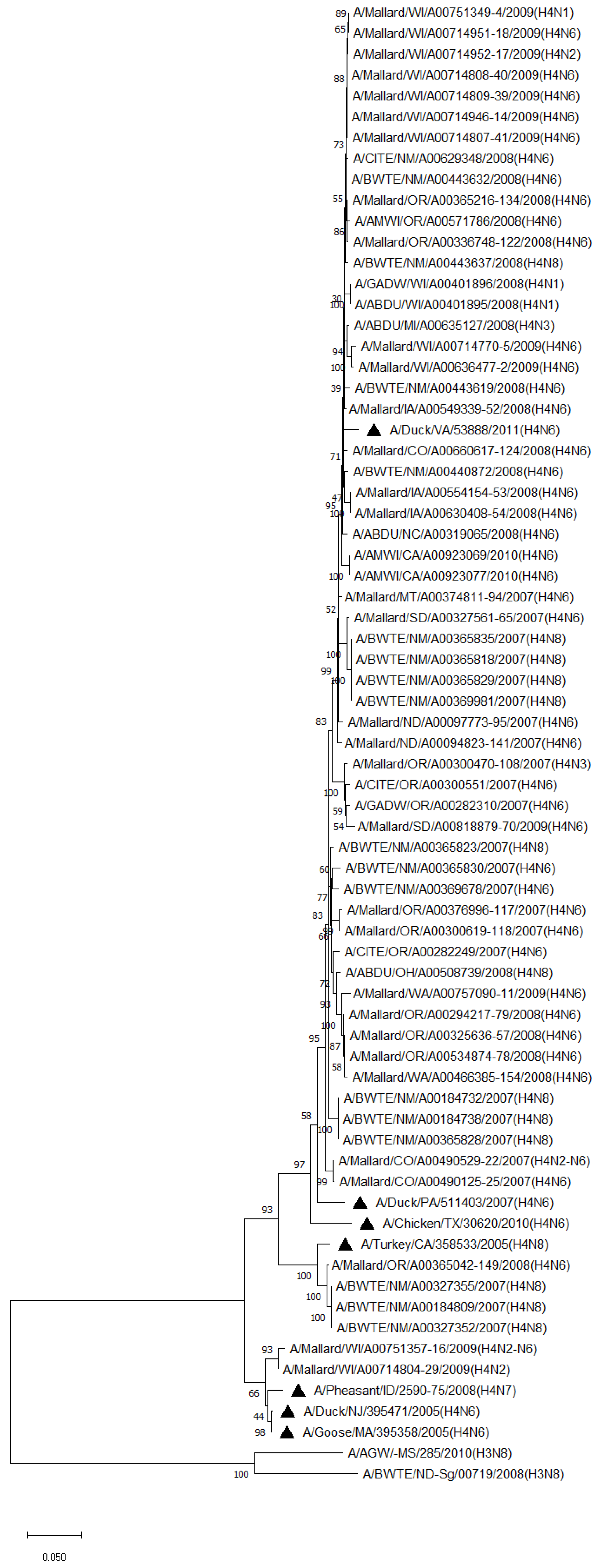 Pathogens 13 00333 g002