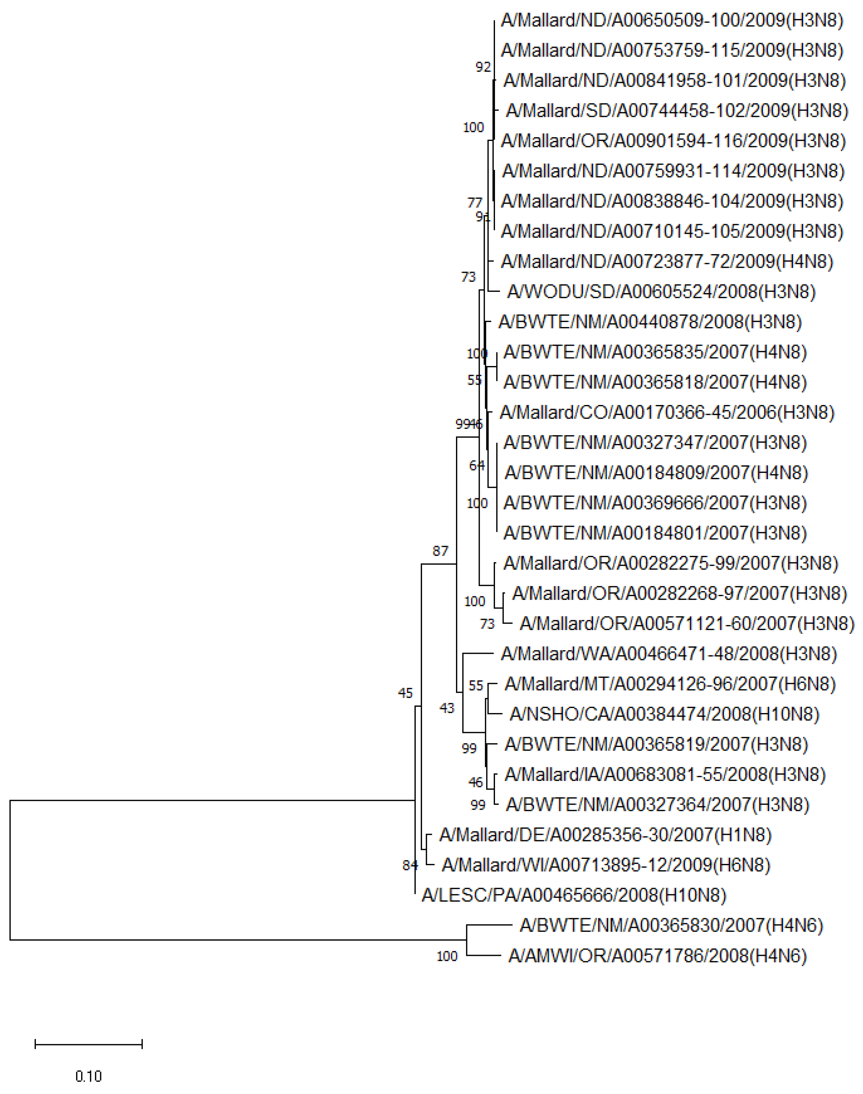 Pathogens 13 00333 g004