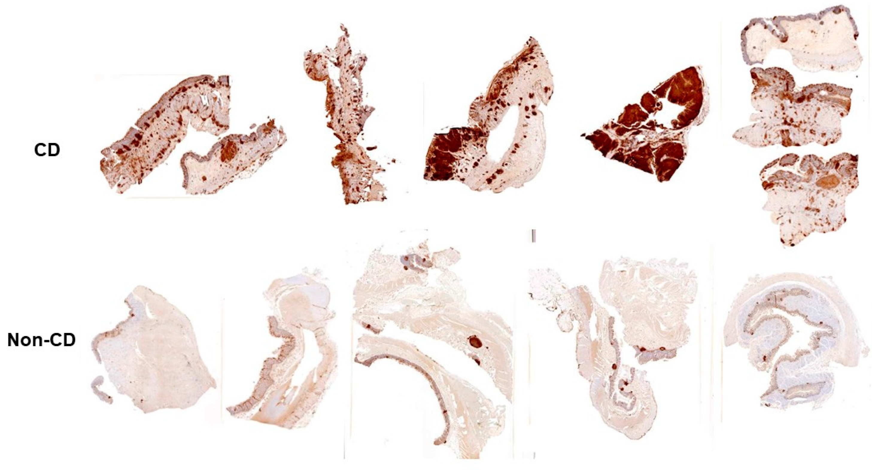 Pathogens 13 00354 g004a Pathogens 13 00354 g004a