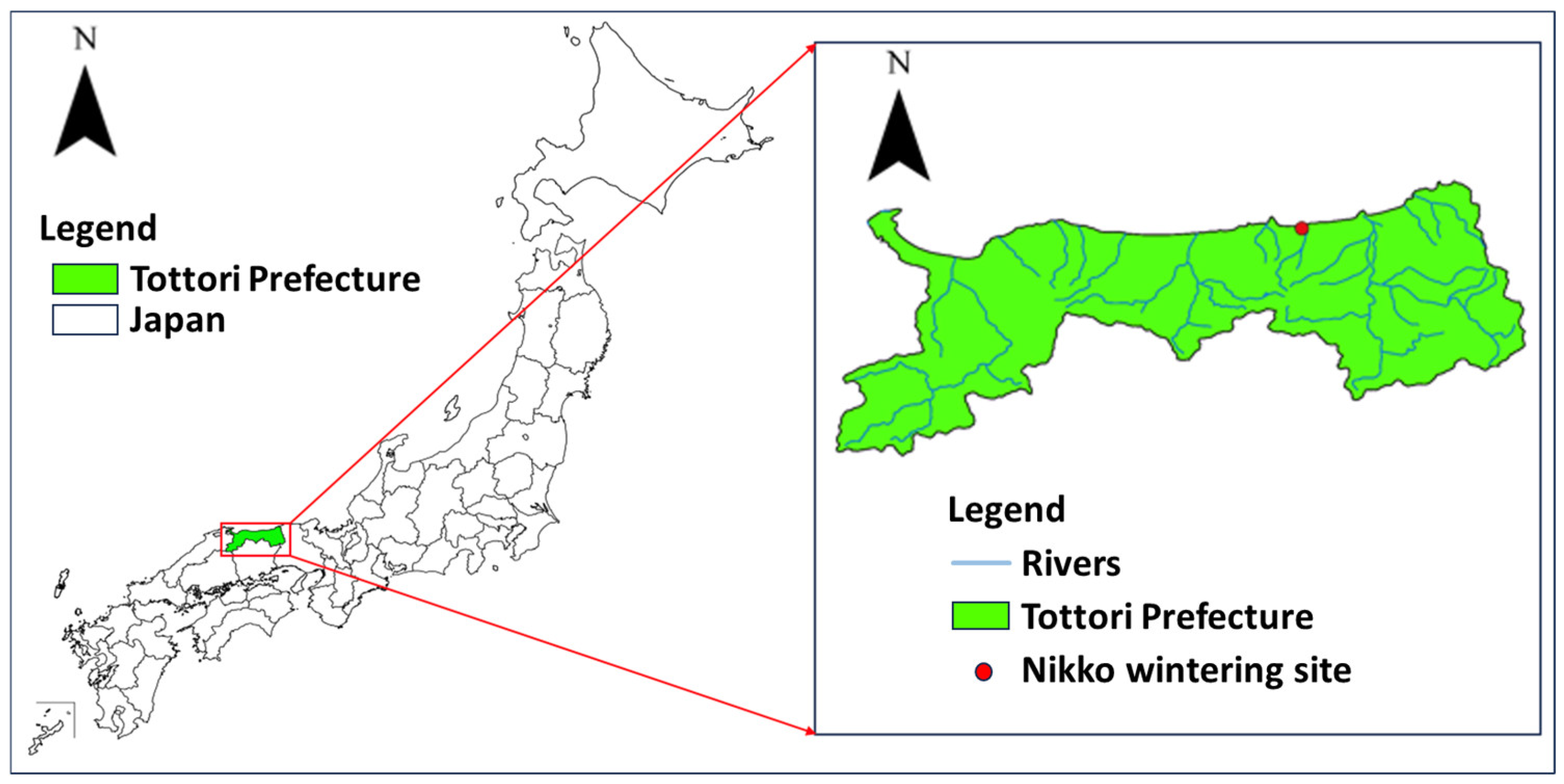 Pathogens 13 00380 g001