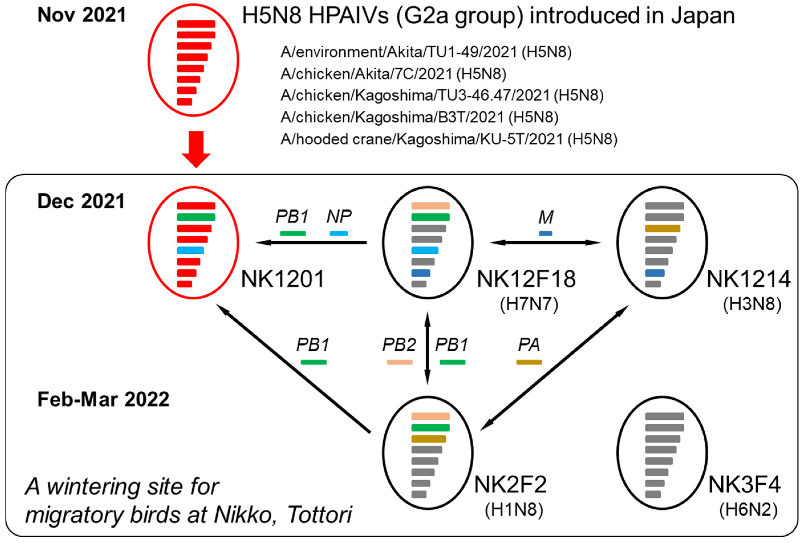 Pathogens 13 00380 g003