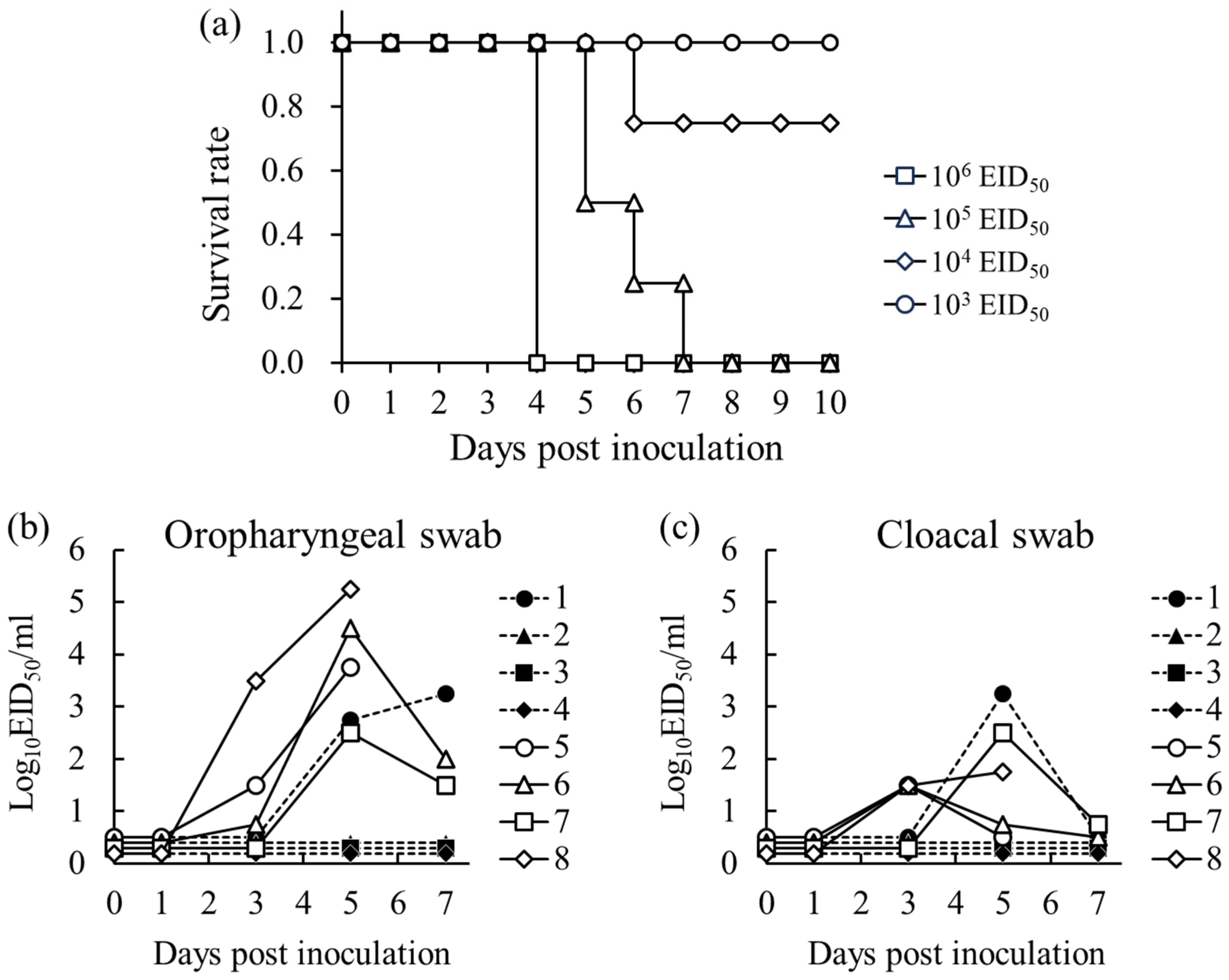Pathogens 13 00380 g004