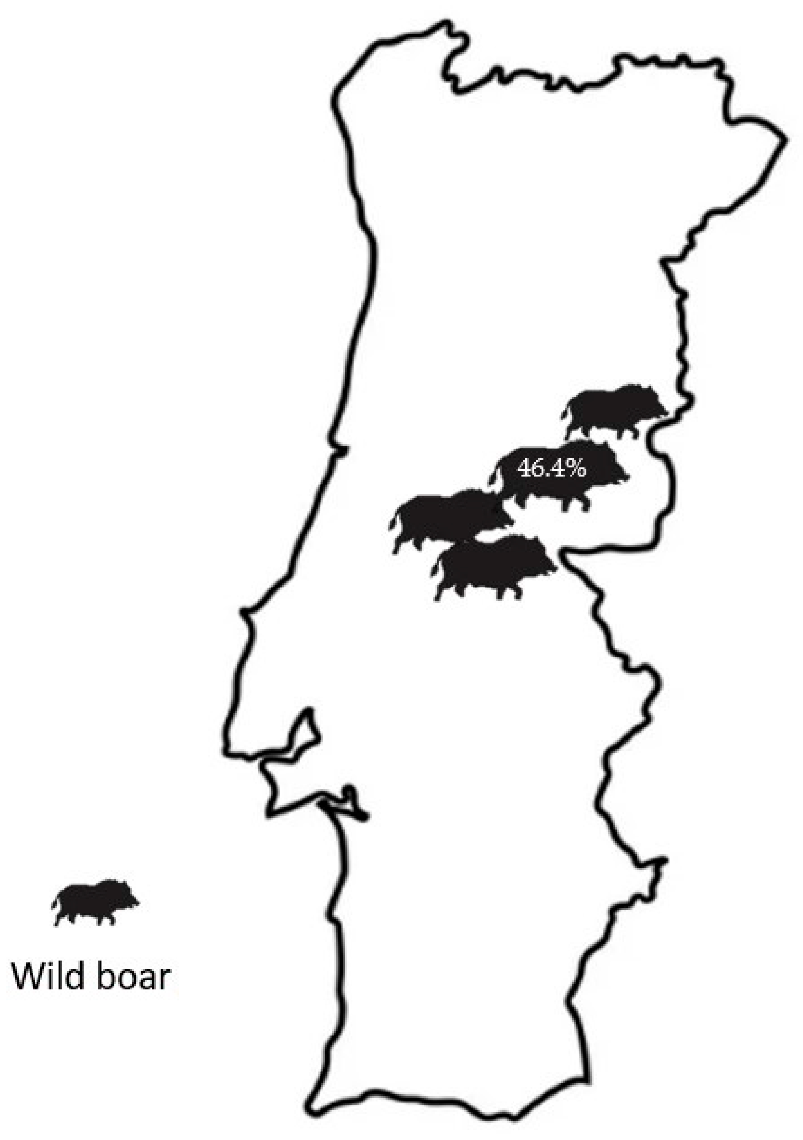 Pathogens 13 00389 g001 Pathogens 13 00389 g001