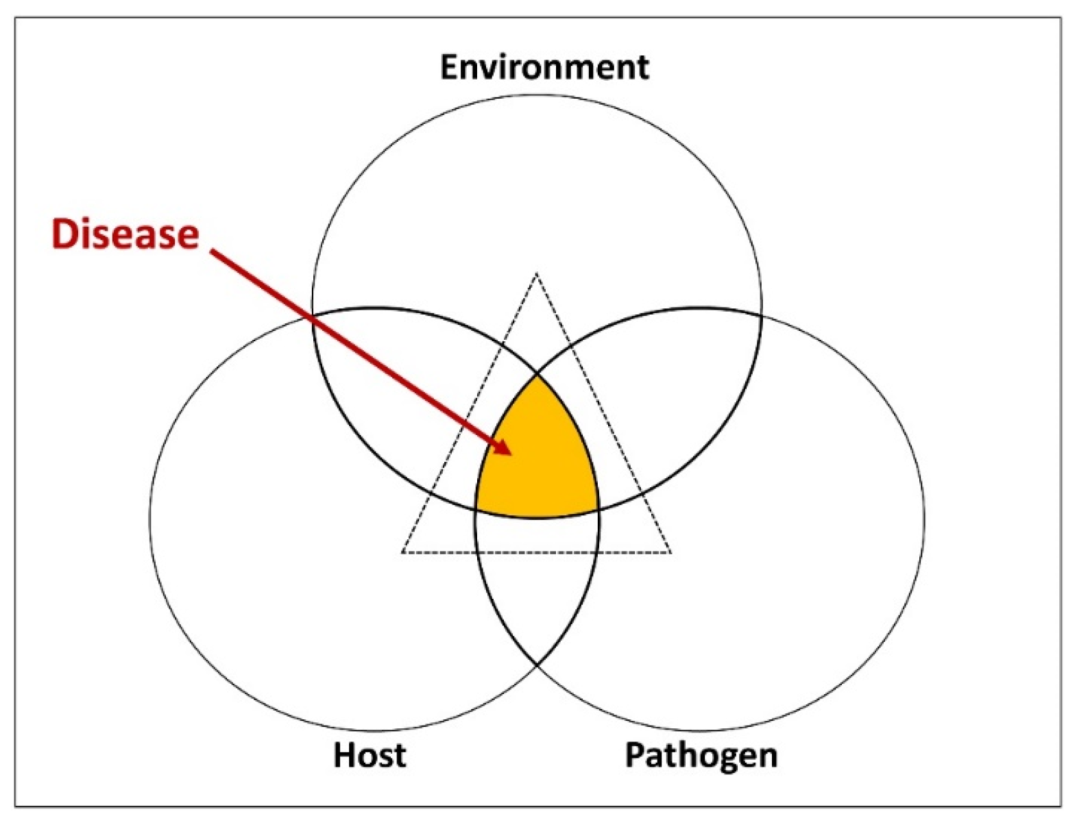 Pathogens 13 00426 g001 Pathogens 13 00426 g001