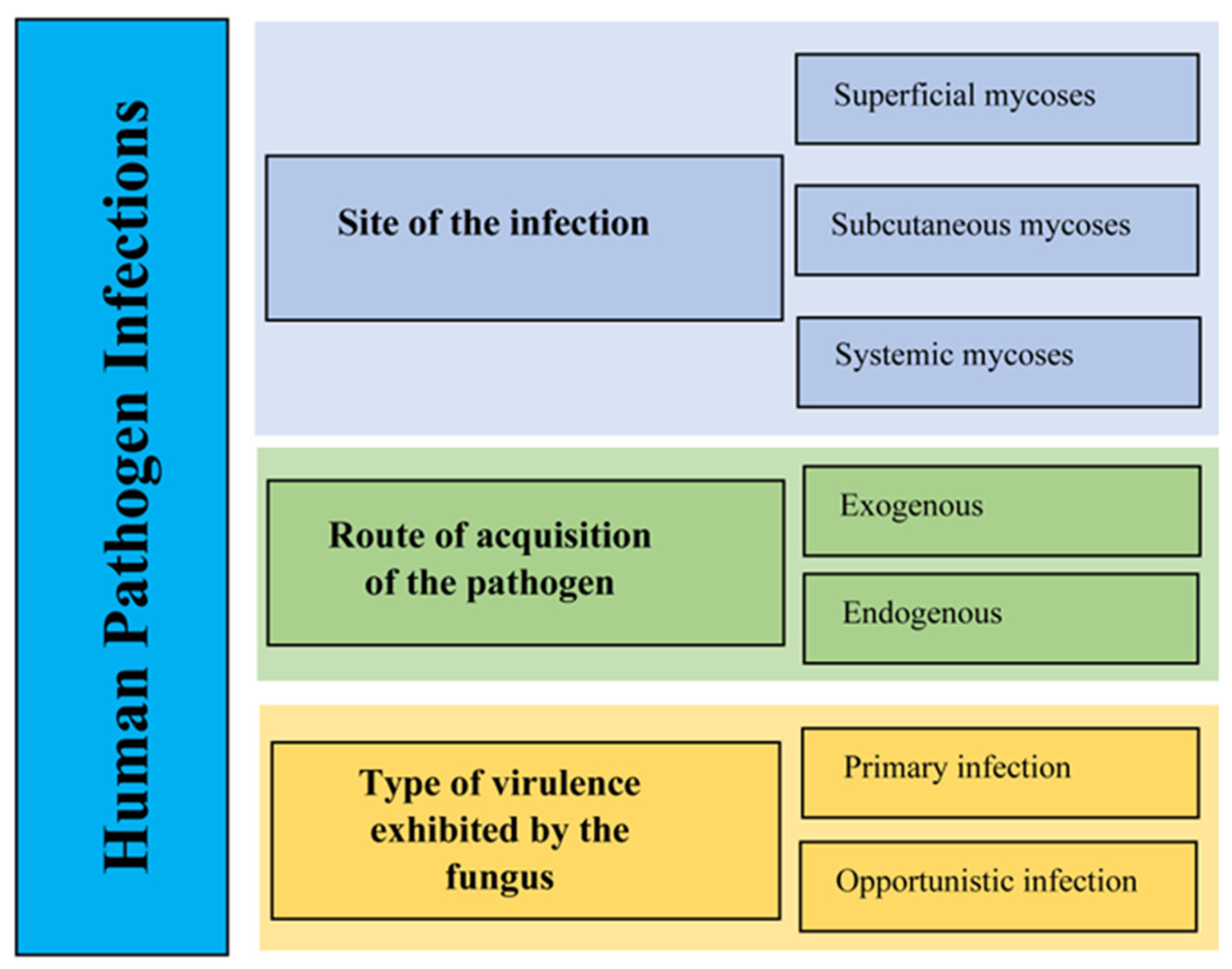 Pathogens 13 00426 g002 Pathogens 13 00426 g002