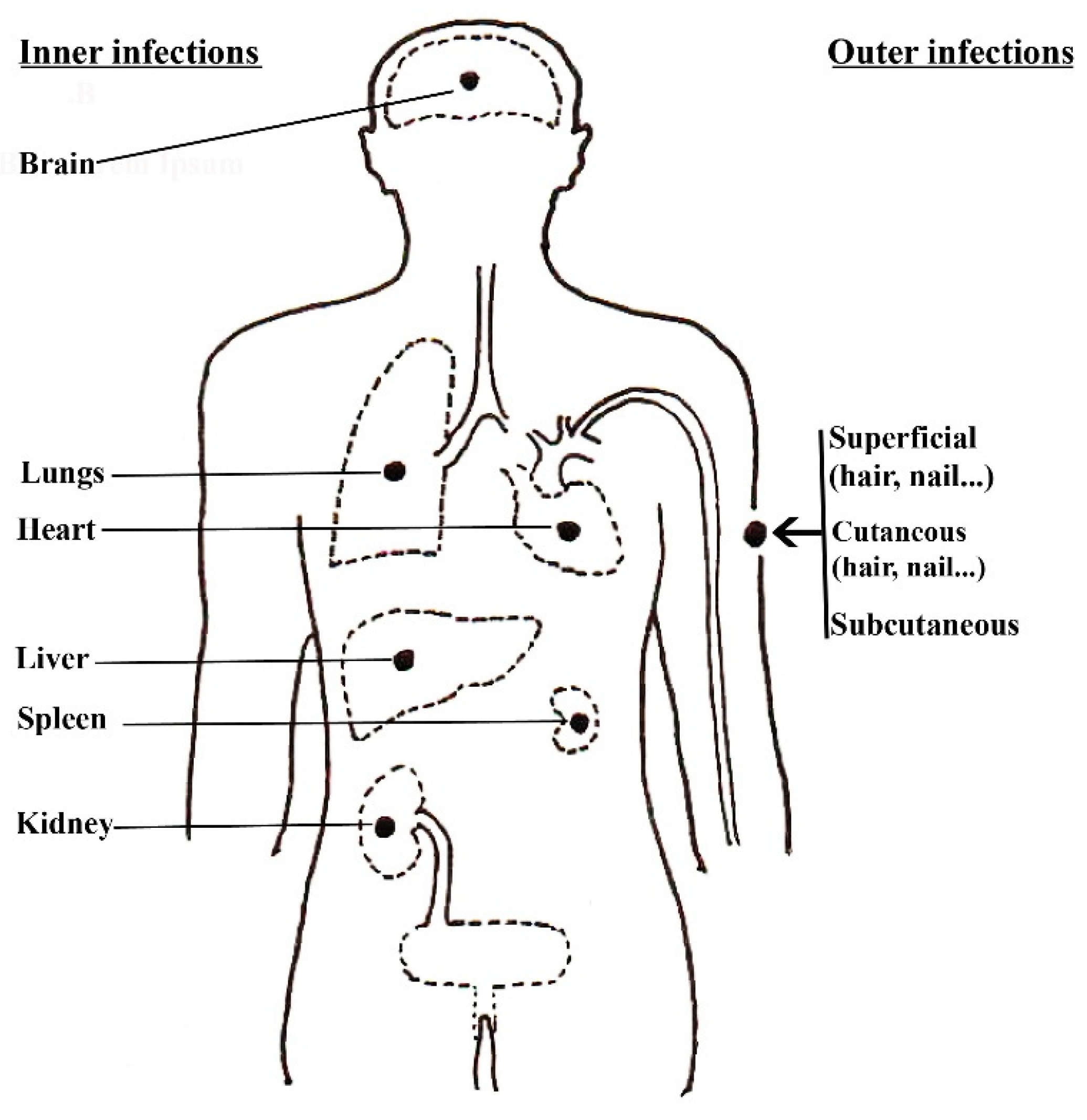 Pathogens 13 00426 g003 Pathogens 13 00426 g003