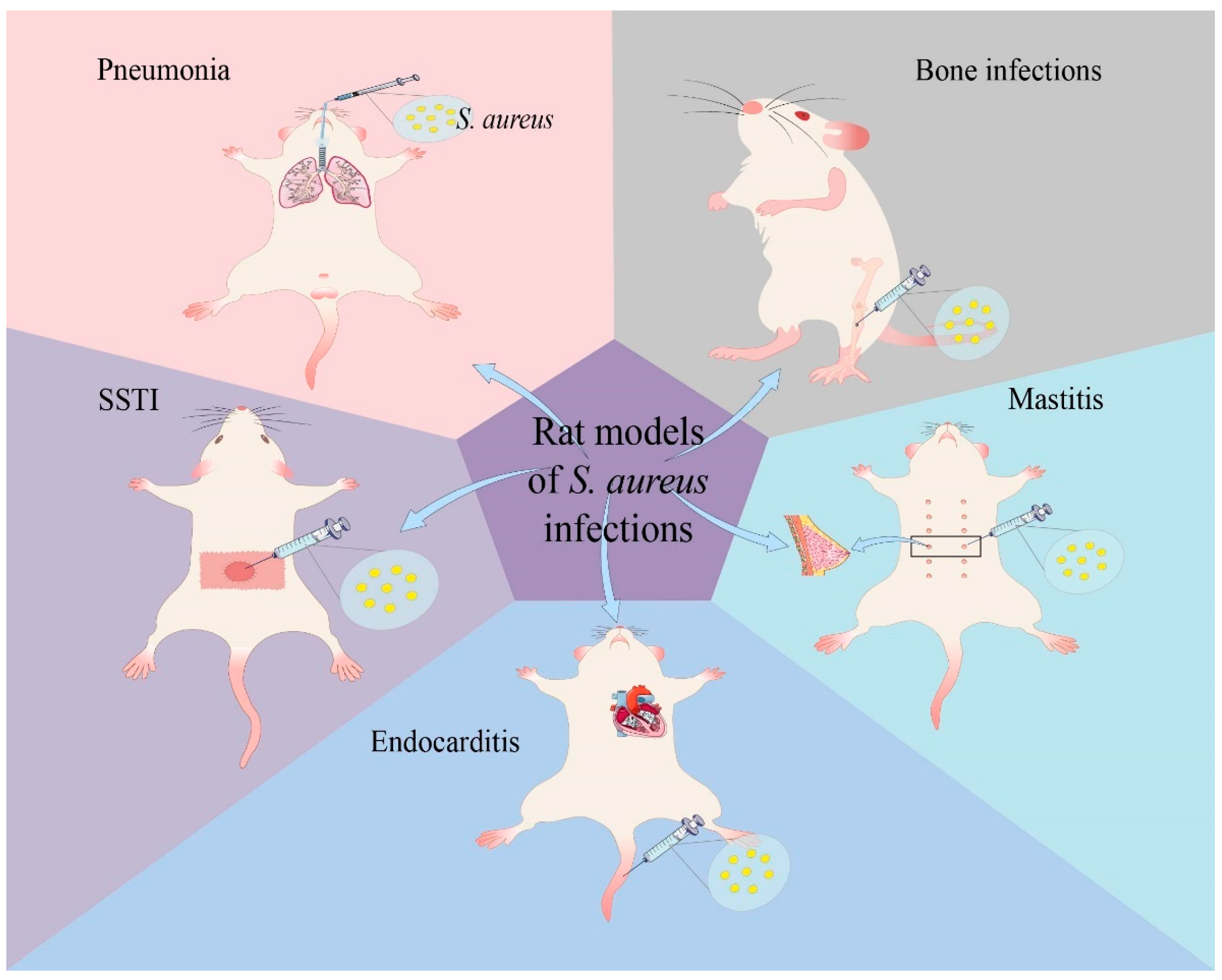 Pathogens | Free Full-Text | The Application of Rat Models in ...