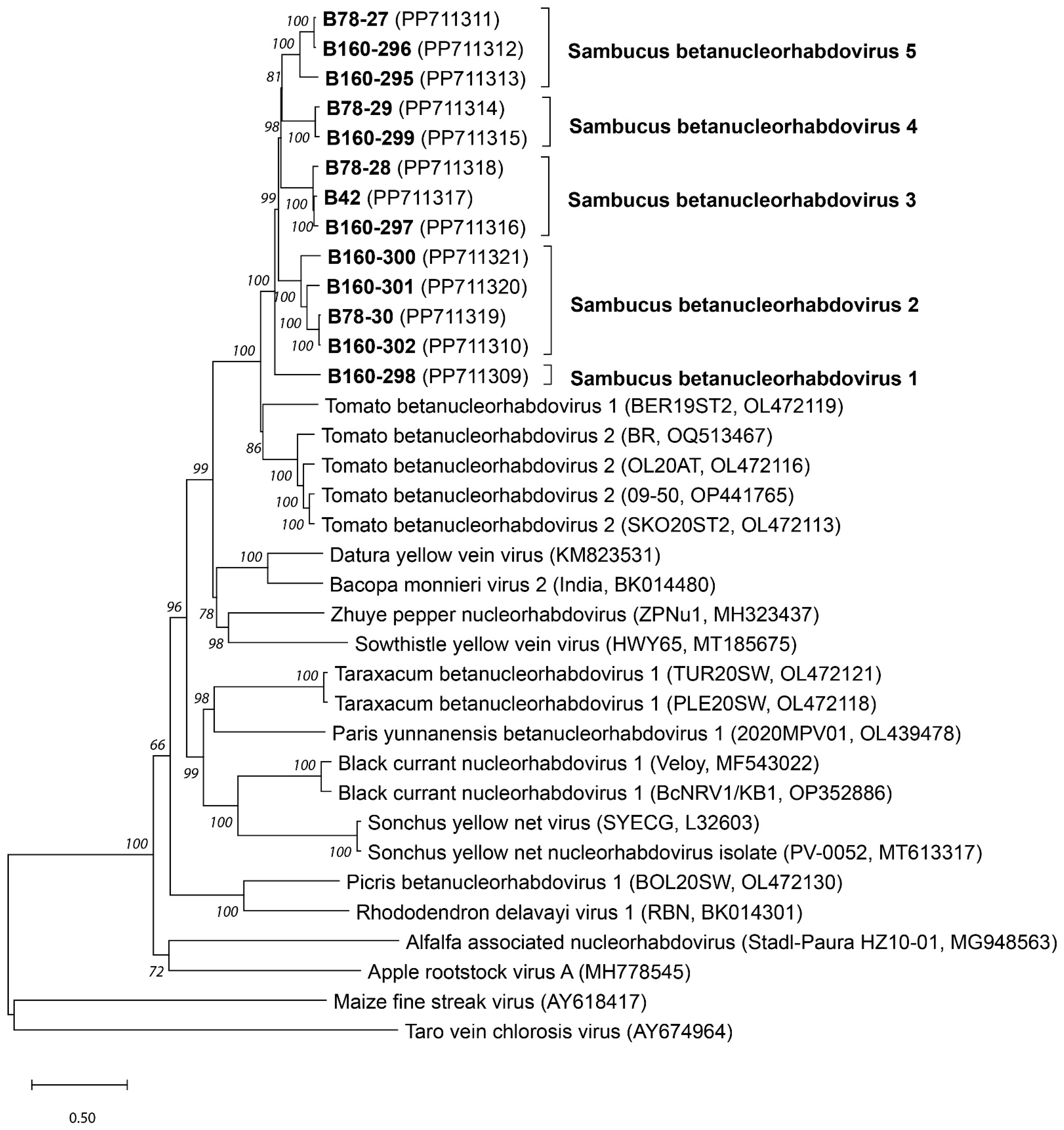 Pathogens 13 00445 g001