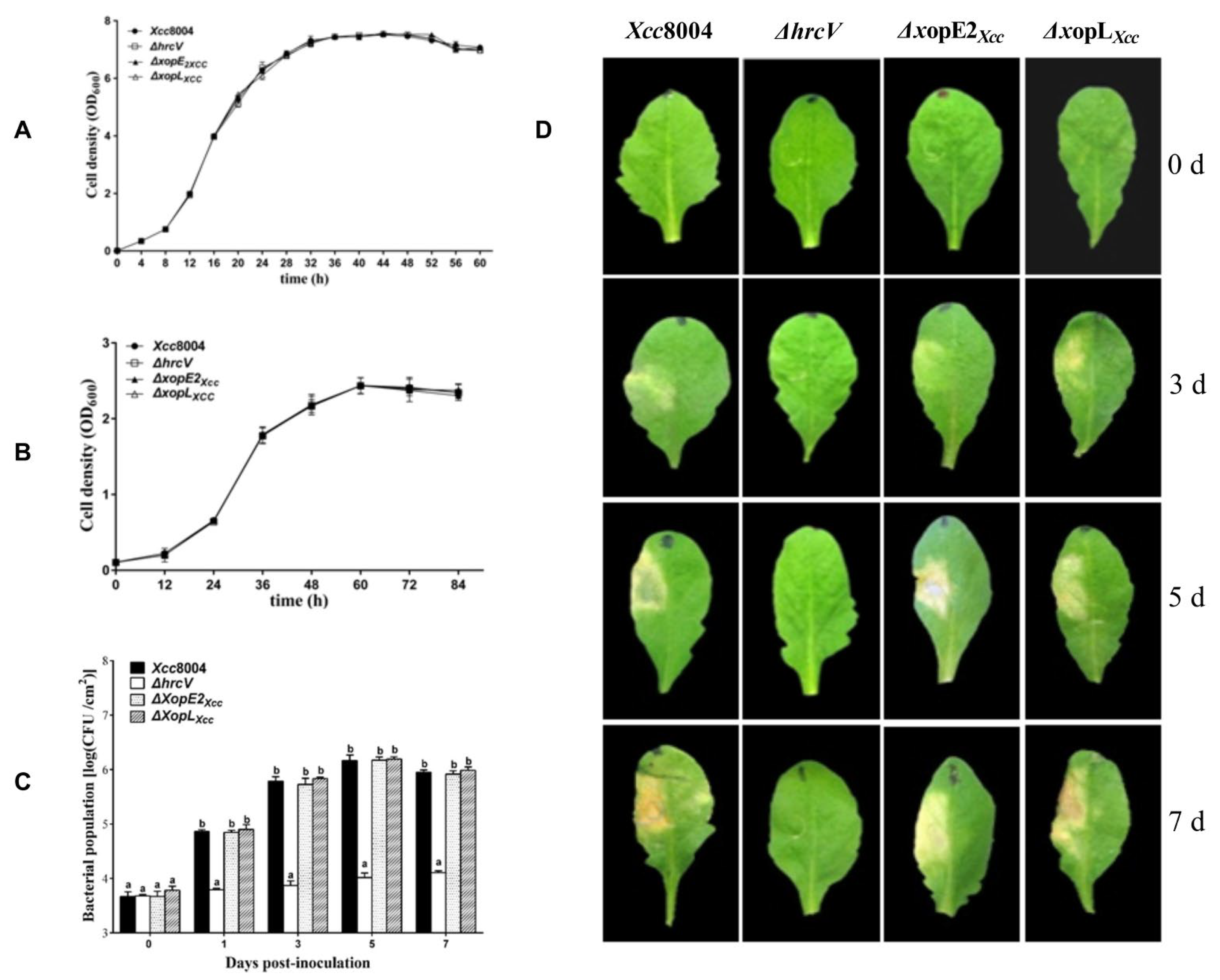 Pathogens 13 00448 g001