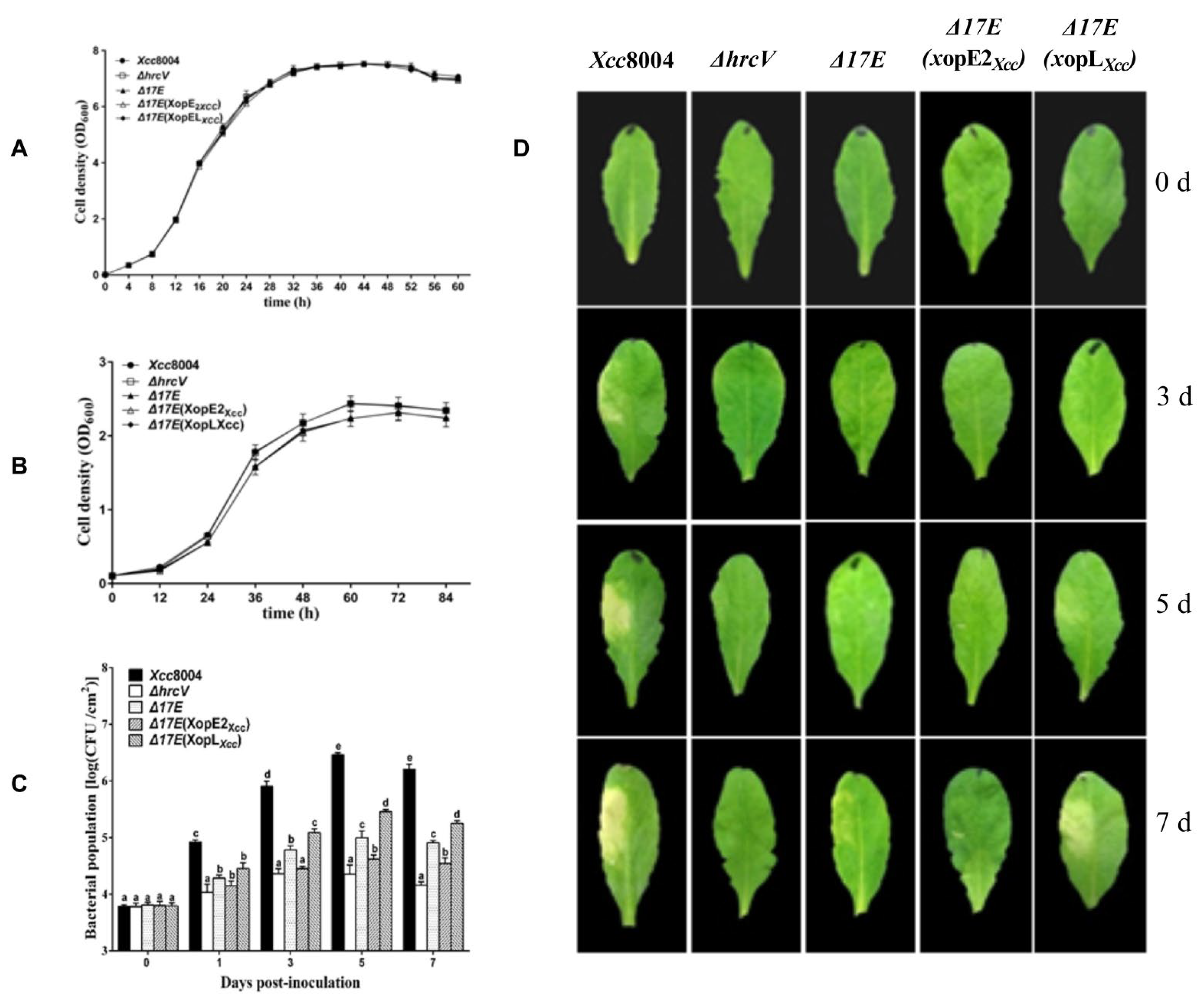 Pathogens 13 00448 g002