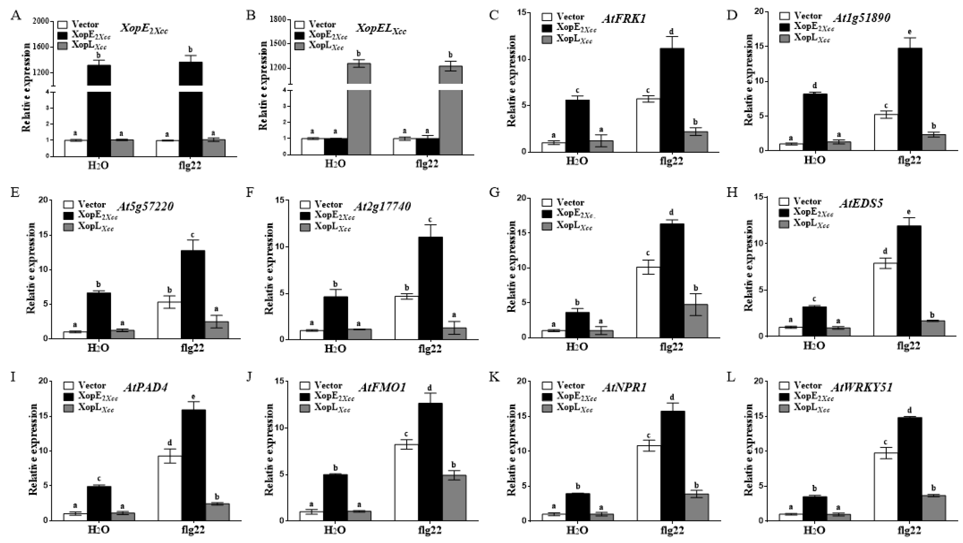 Pathogens 13 00448 g003