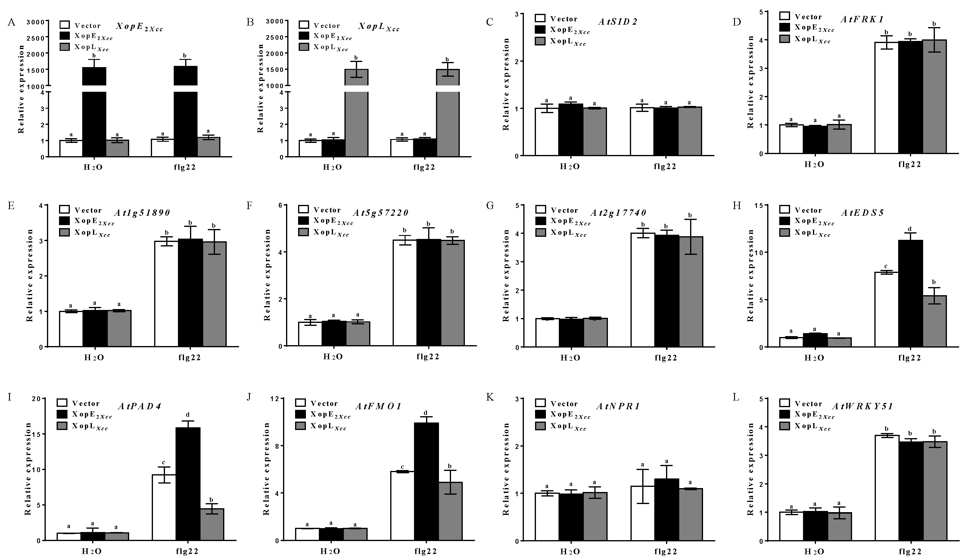 Pathogens 13 00448 g004