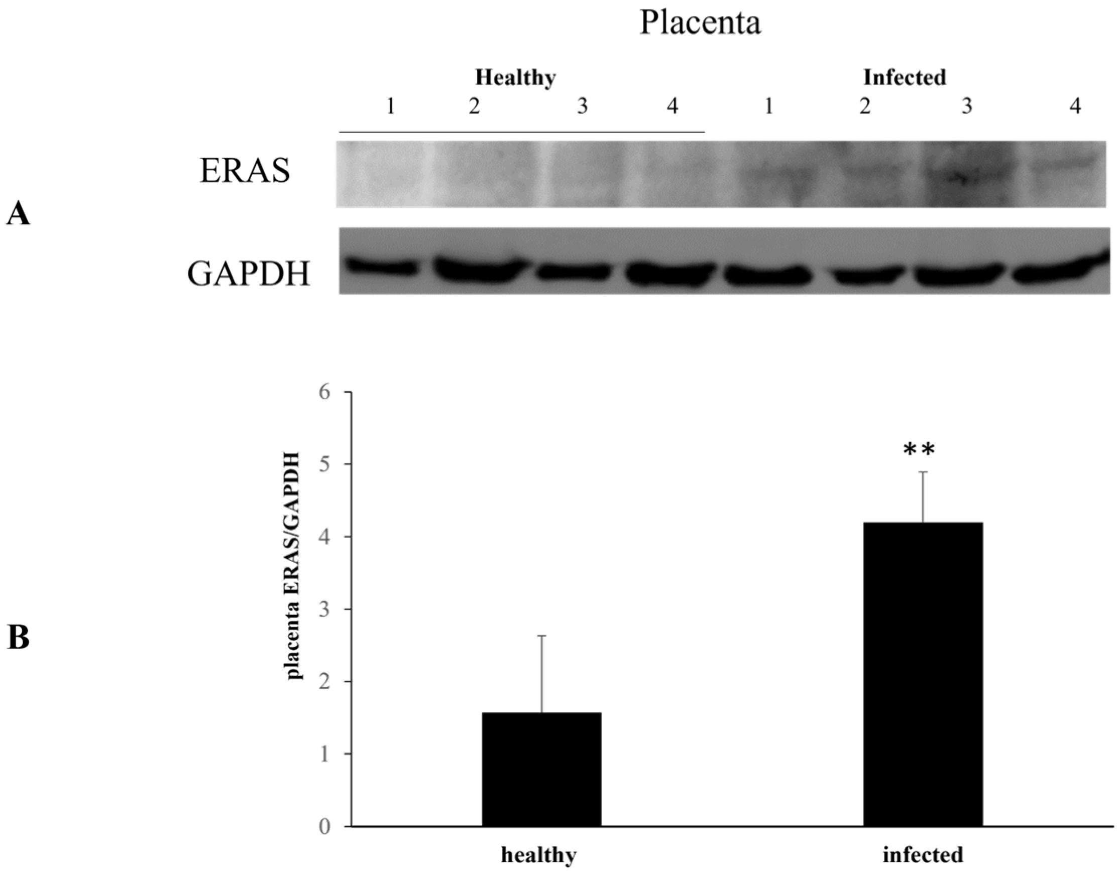 Pathogens 13 00453 g001