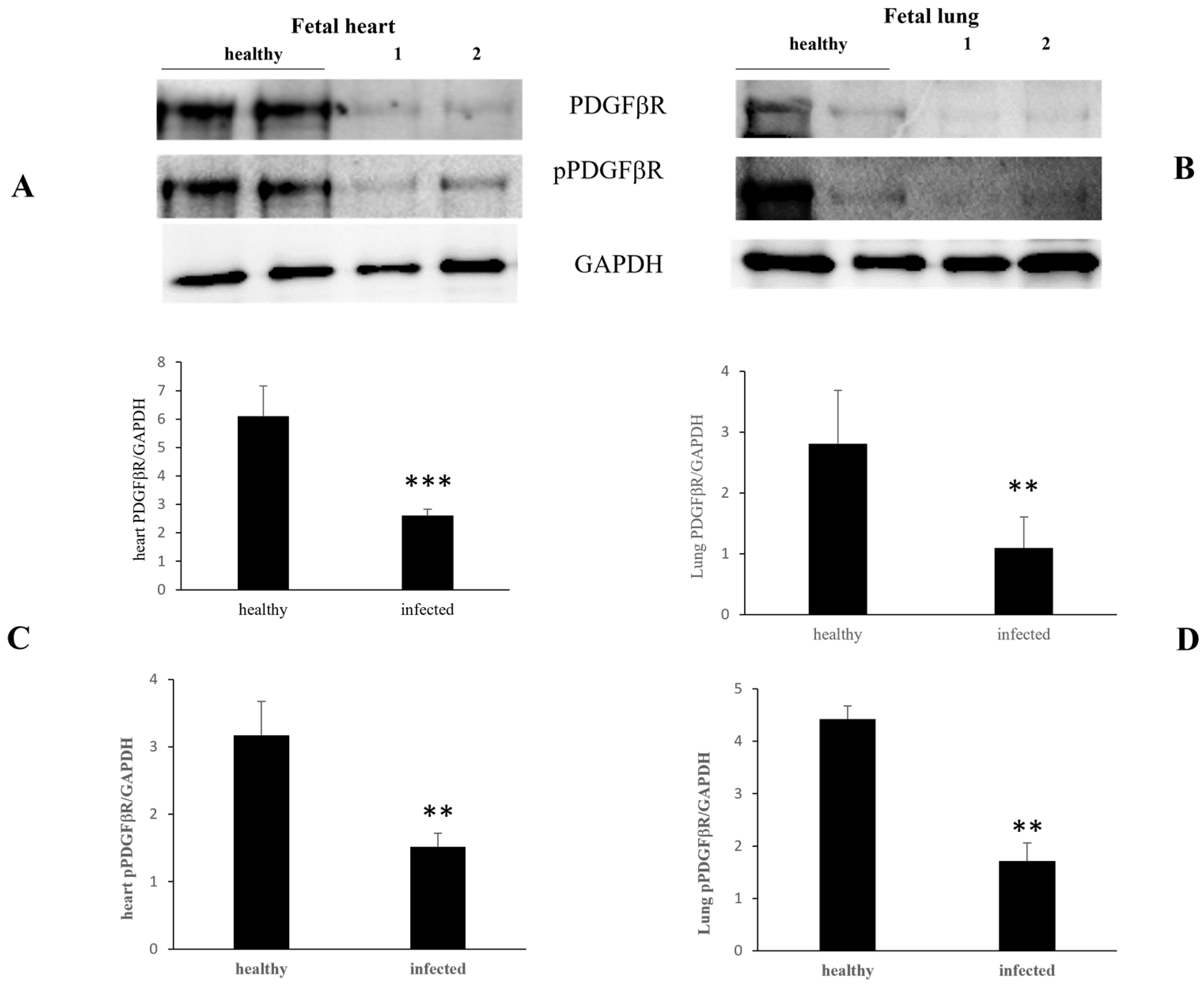 Pathogens 13 00453 g004