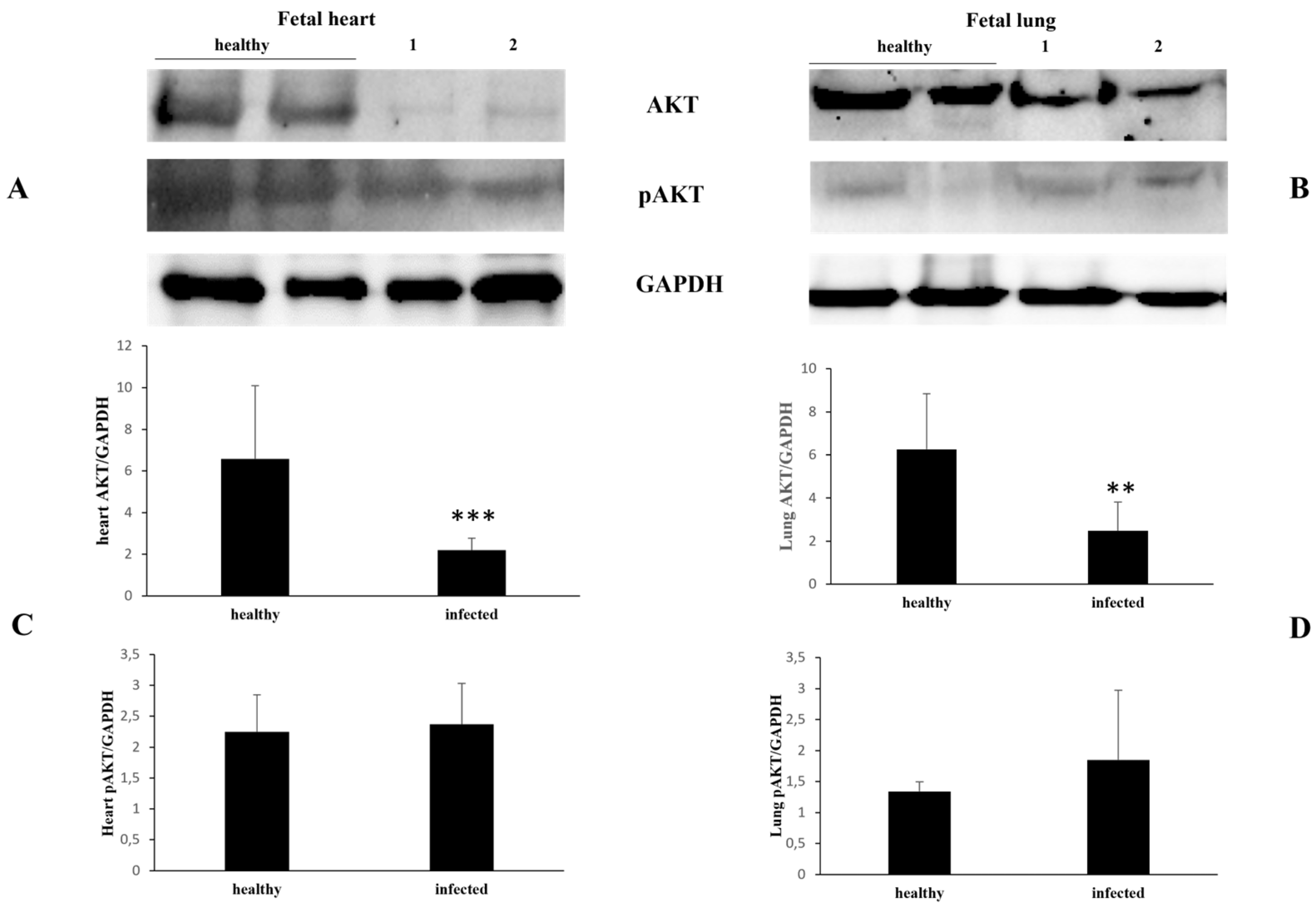Pathogens 13 00453 g007