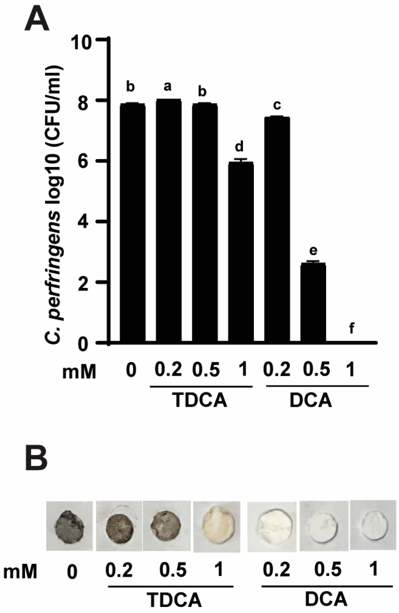 Pathogens 13 00464 g001