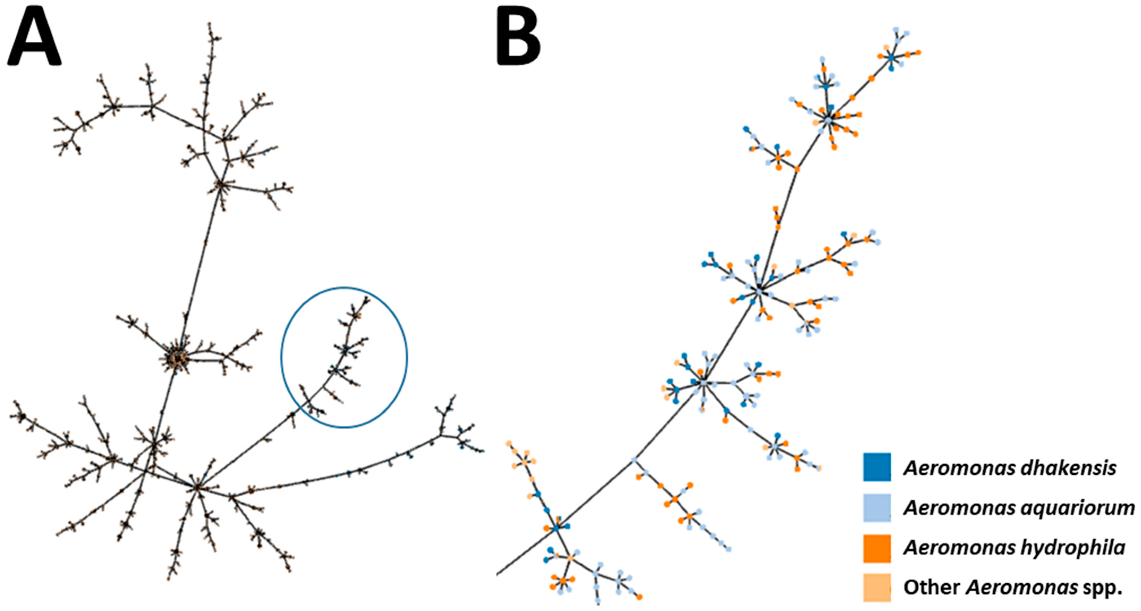 Pathogens 13 00465 g003