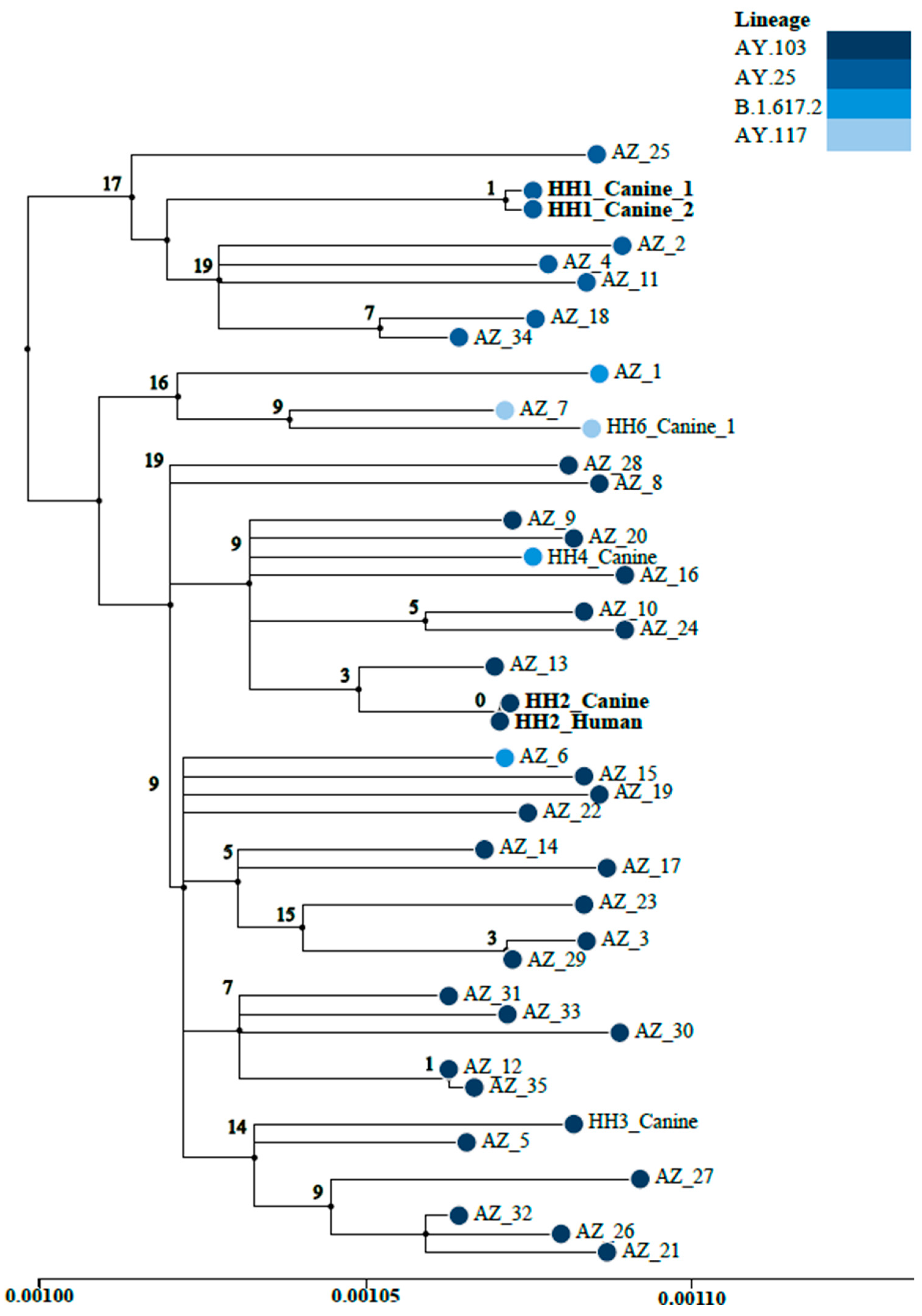 Pathogens 13 00466 g001