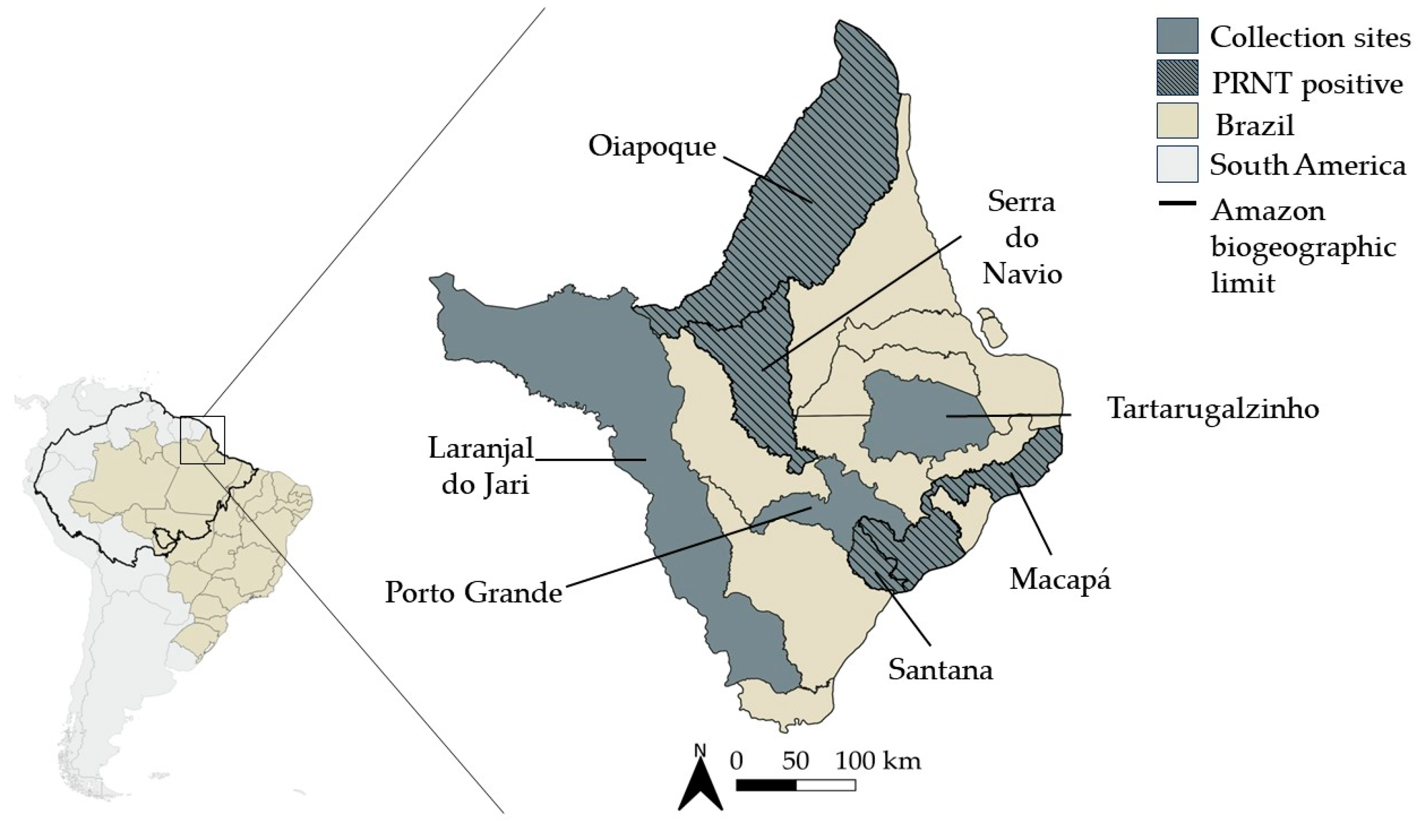 Pathogens 13 00469 g001