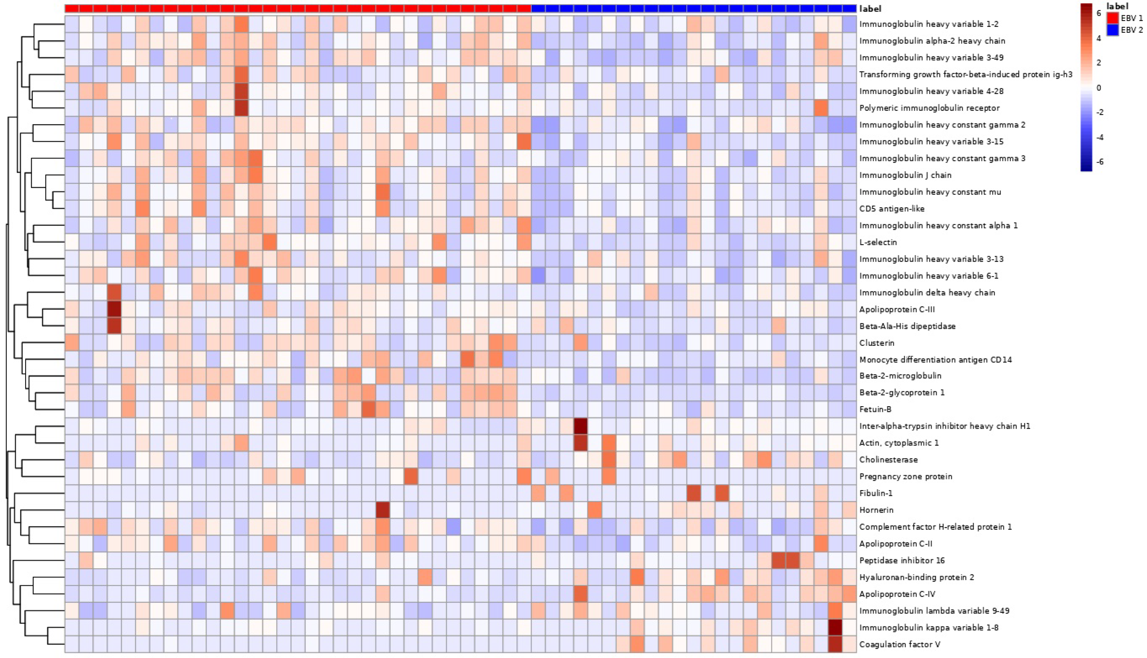 Pathogens 13 00471 g001