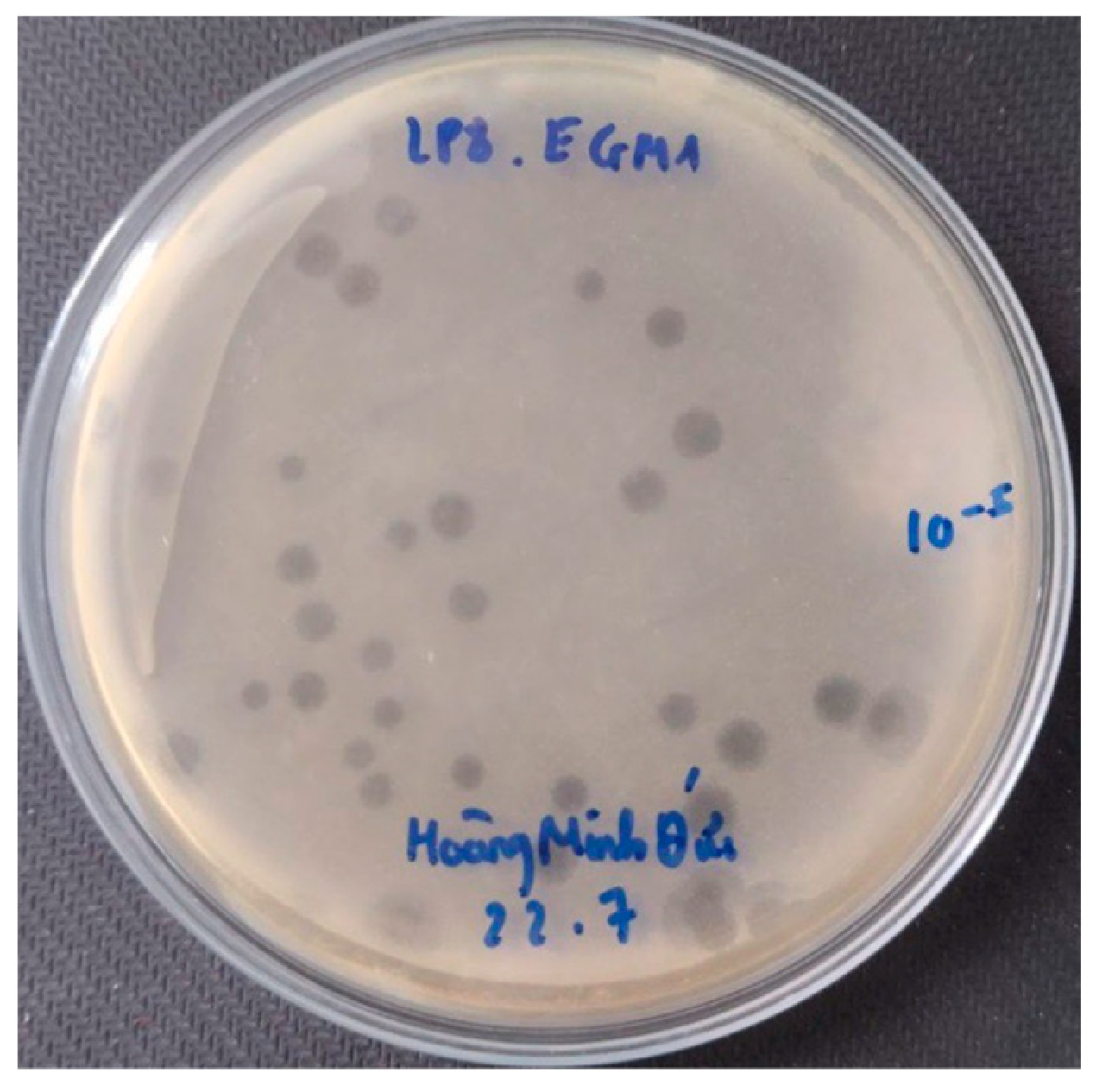 Pathogens 13 00494 g001