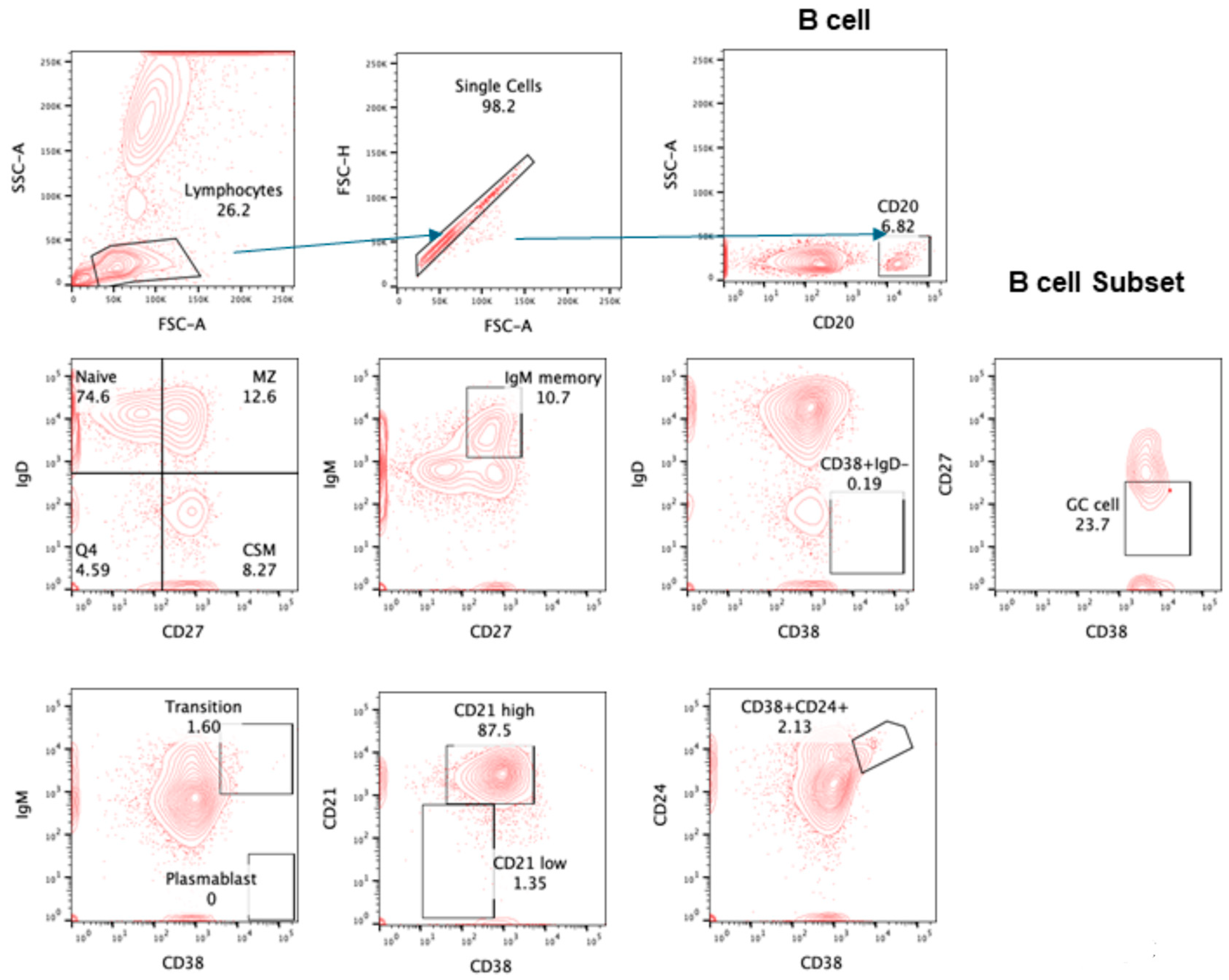 Pathogens 13 00514 g003