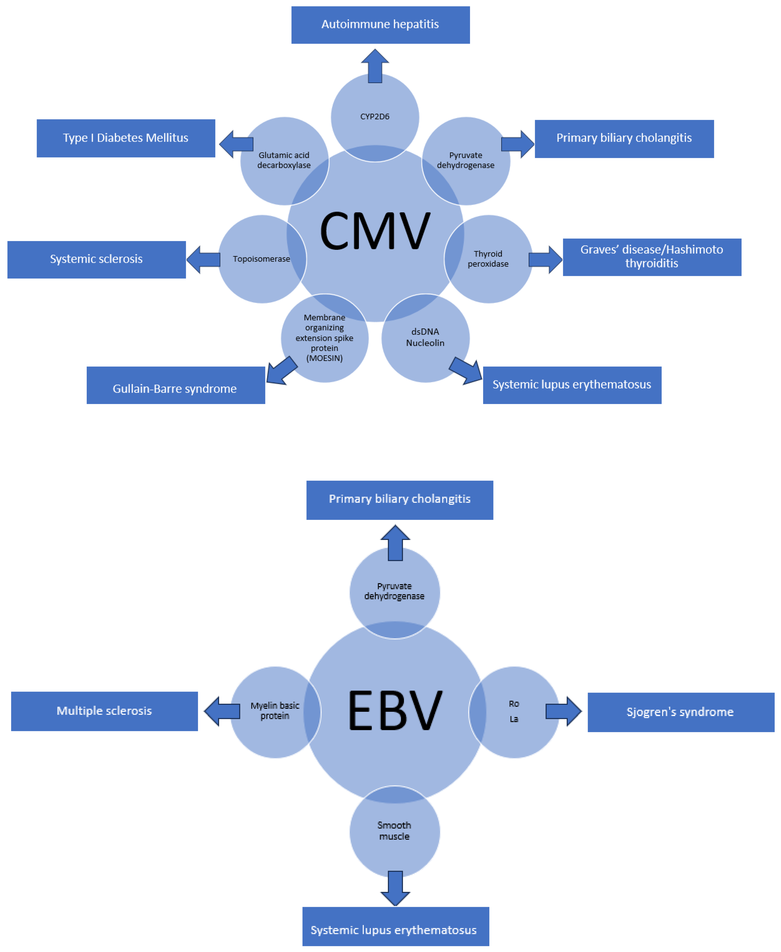 Pathogens 13 00527 g002 Pathogens 13 00527 g002