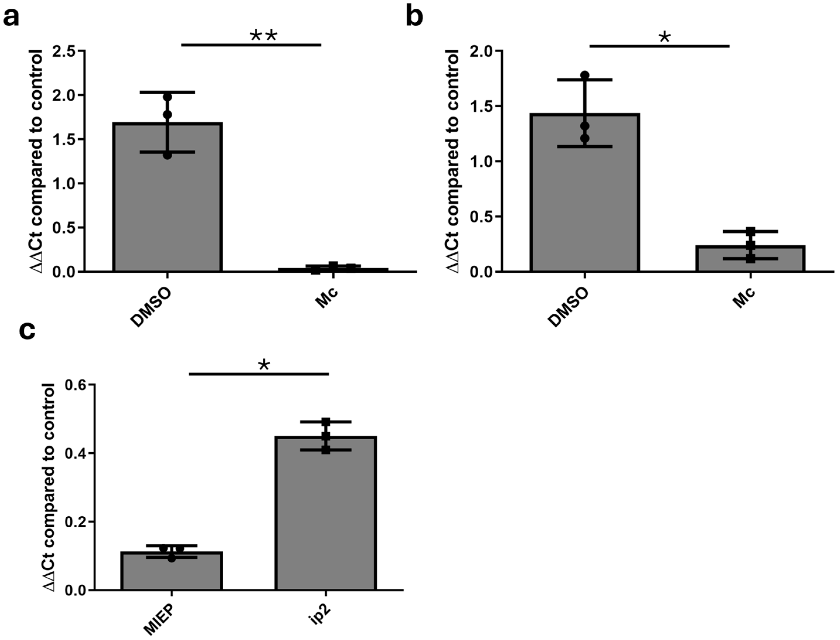 Pathogens 13 00546 g005 Pathogens 13 00546 g005