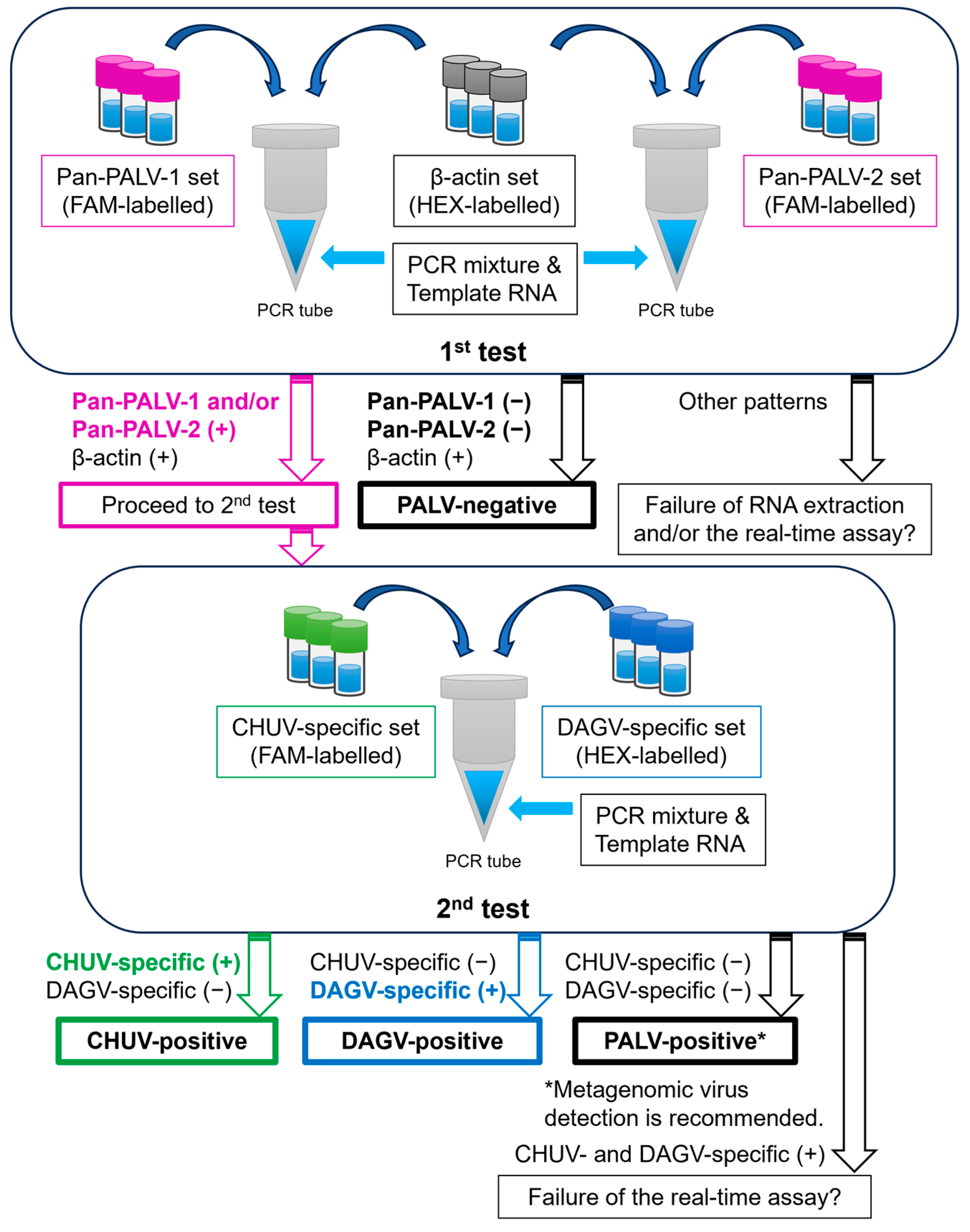 Pathogens 13 00550 g003