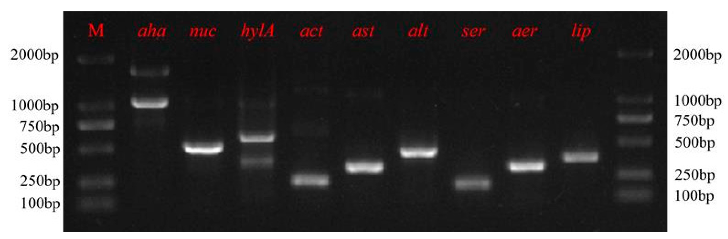 Pathogens 13 00552 g005
