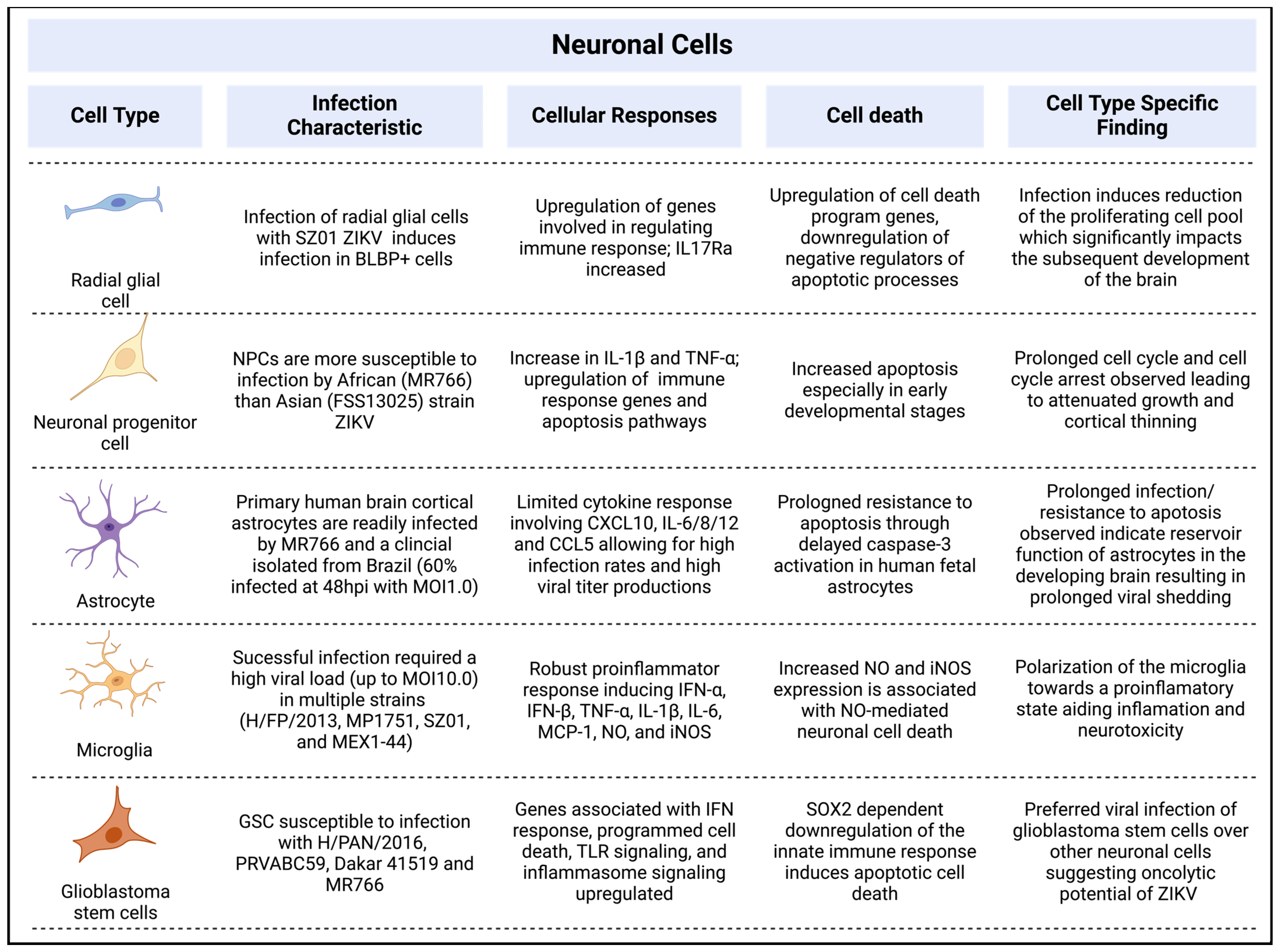 Pathogens 13 00555 g004