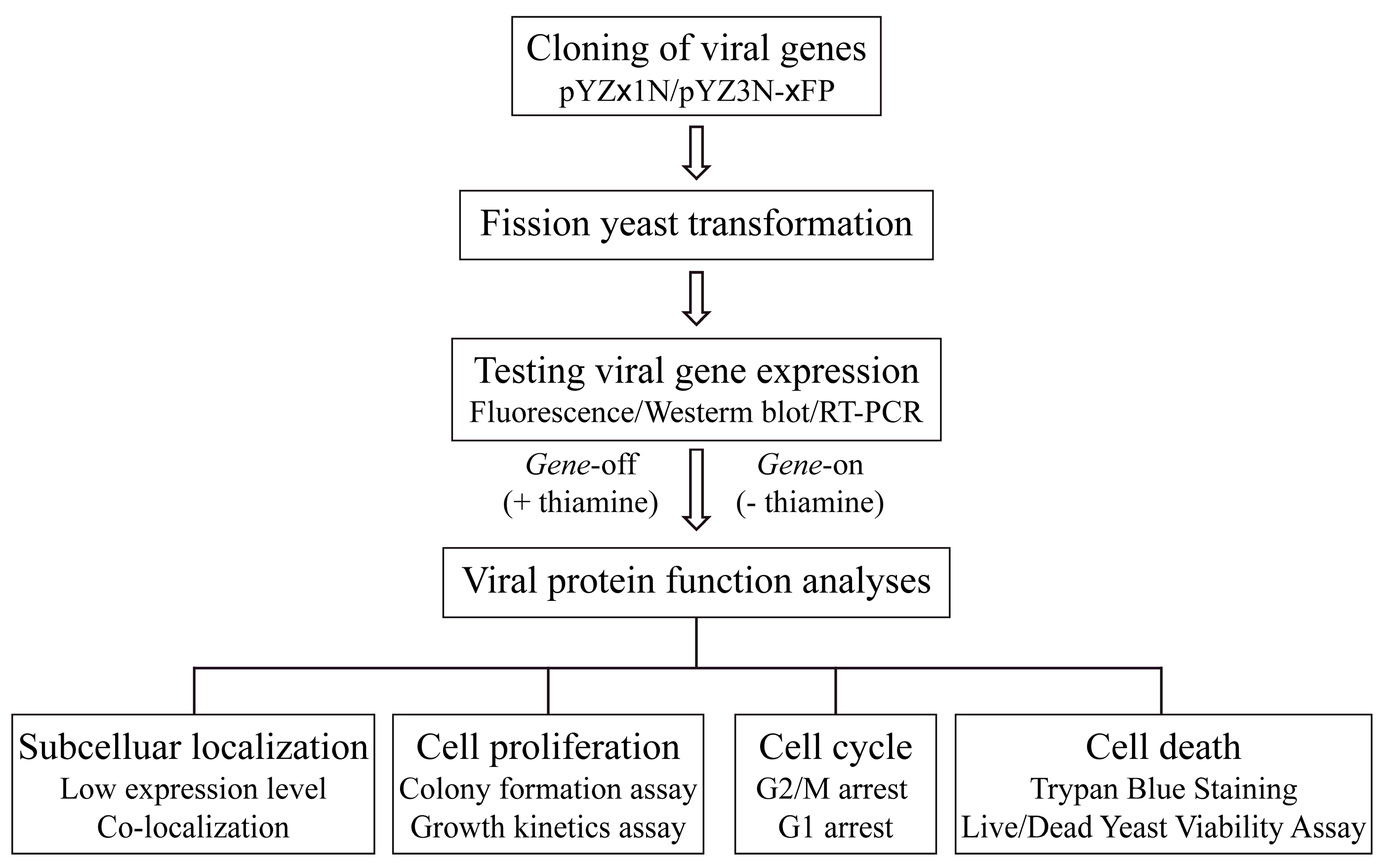 Pathogens 13 00566 g001