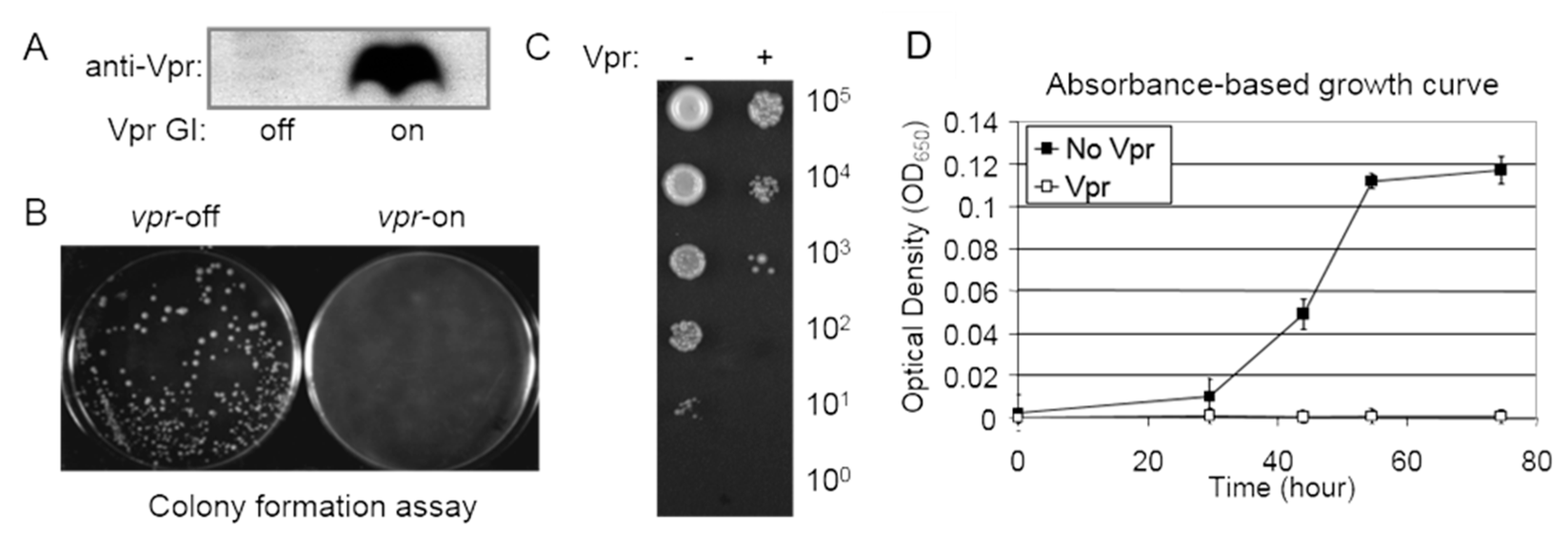 Pathogens 13 00566 g004