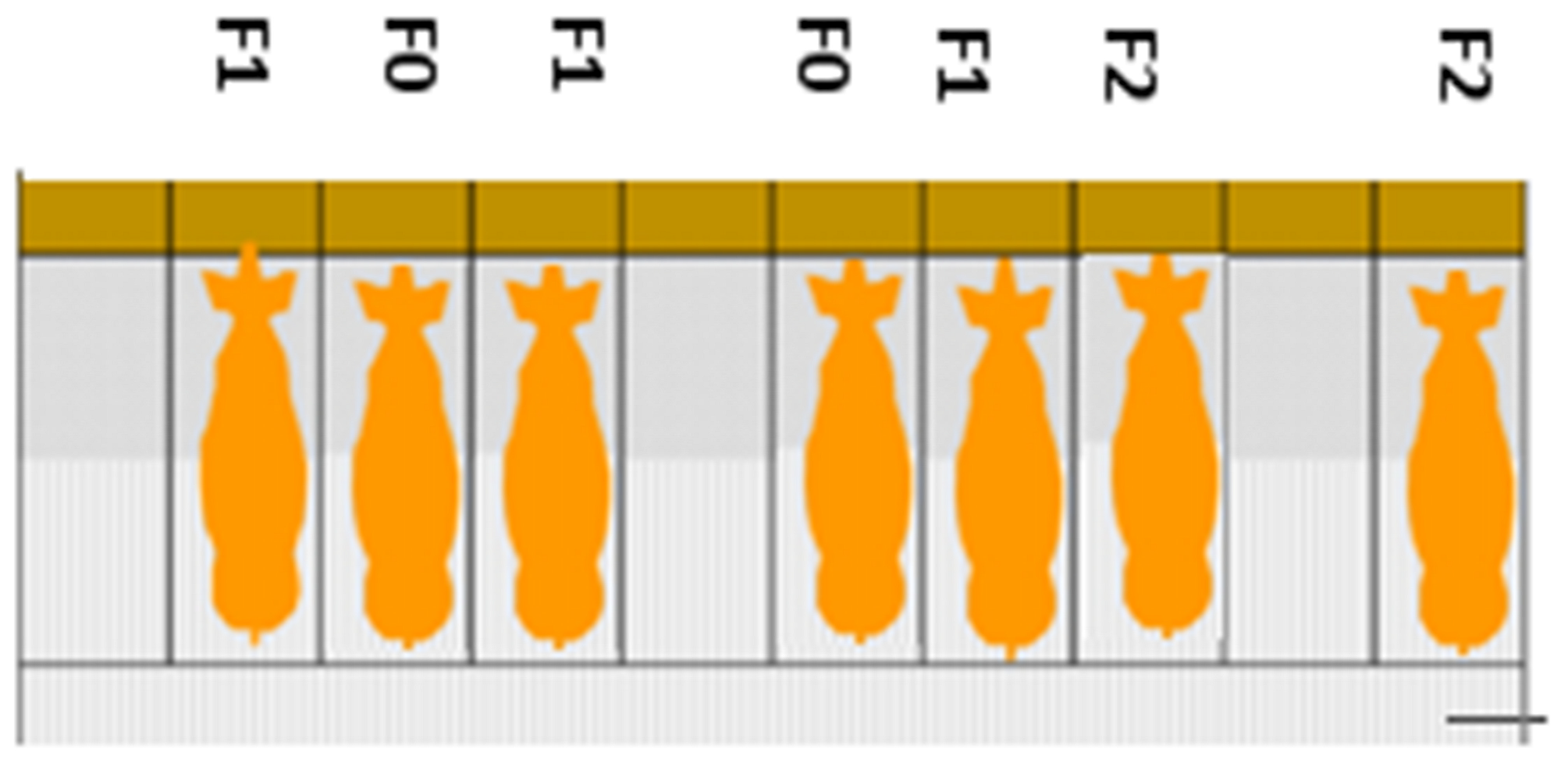Pathogens 13 00567 g003