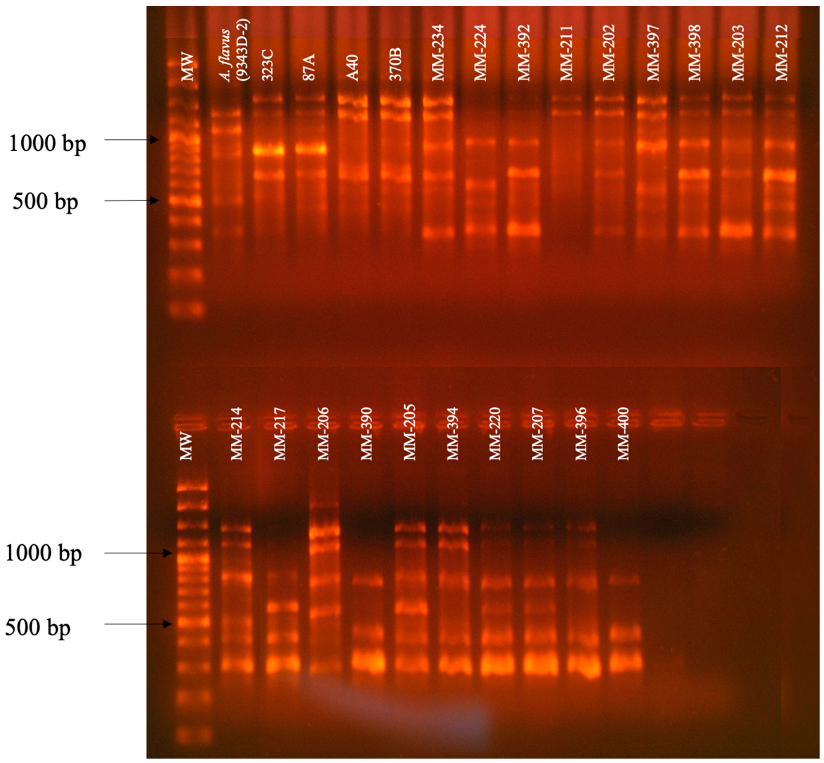 Pathogens 13 00574 g002 Pathogens 13 00574 g002