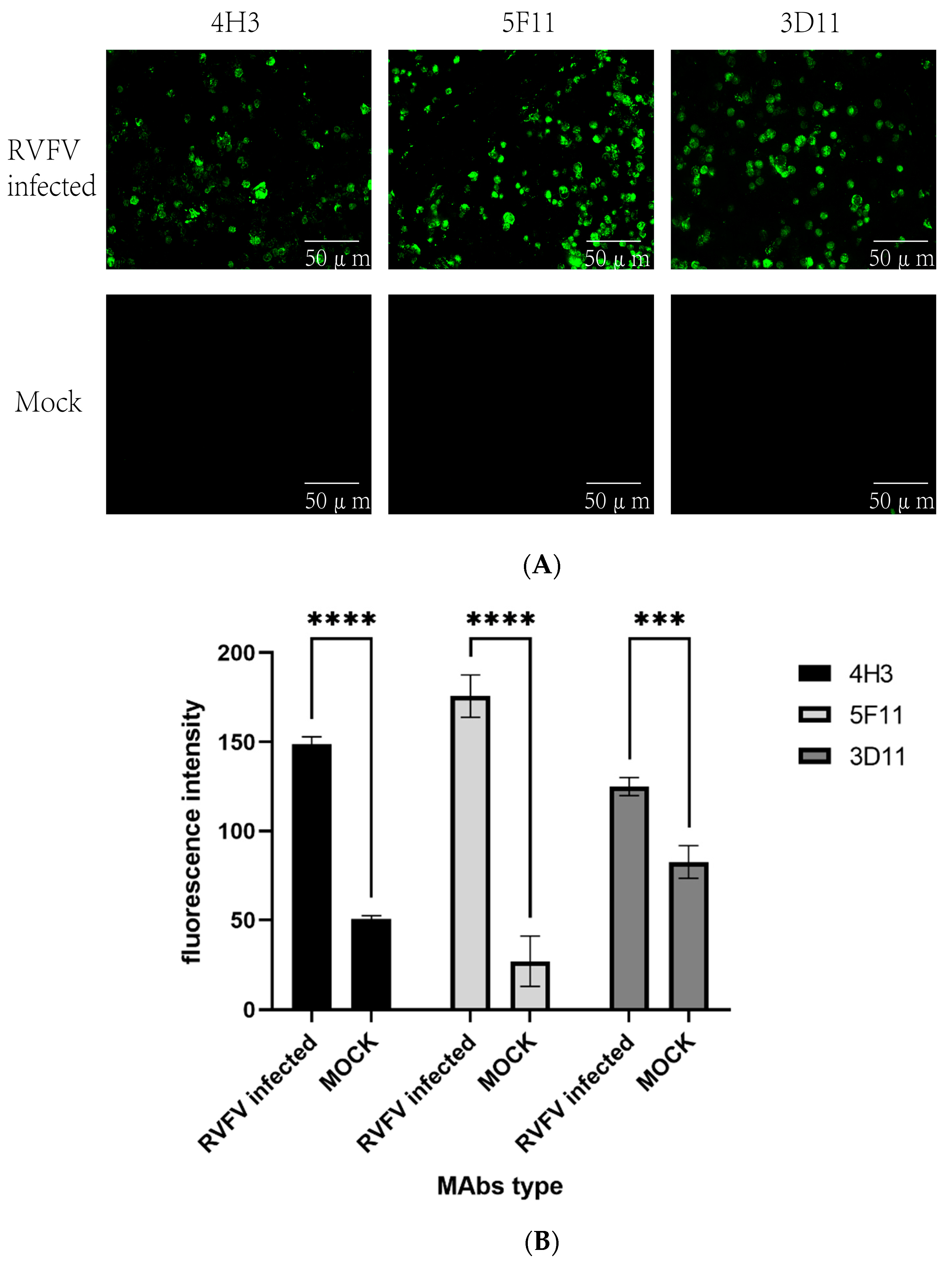 Pathogens 13 00582 g002 Pathogens 13 00582 g002