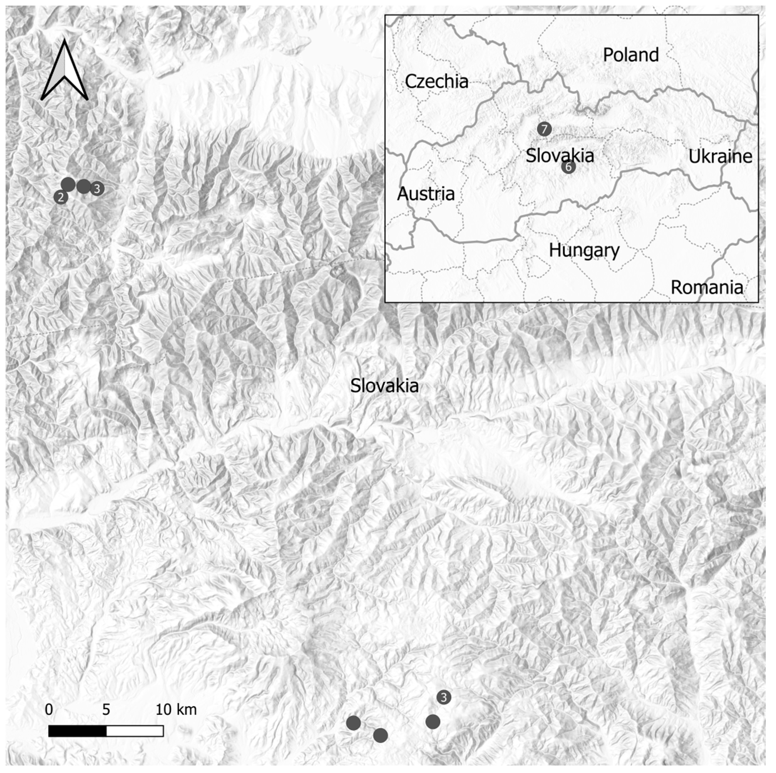 Pathogens 13 00586 g001