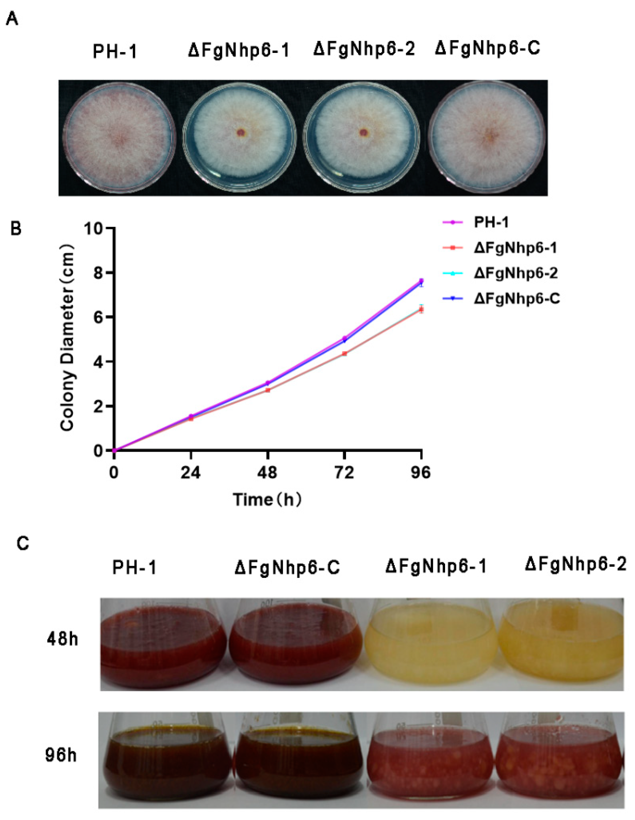 Pathogens 13 00592 g003