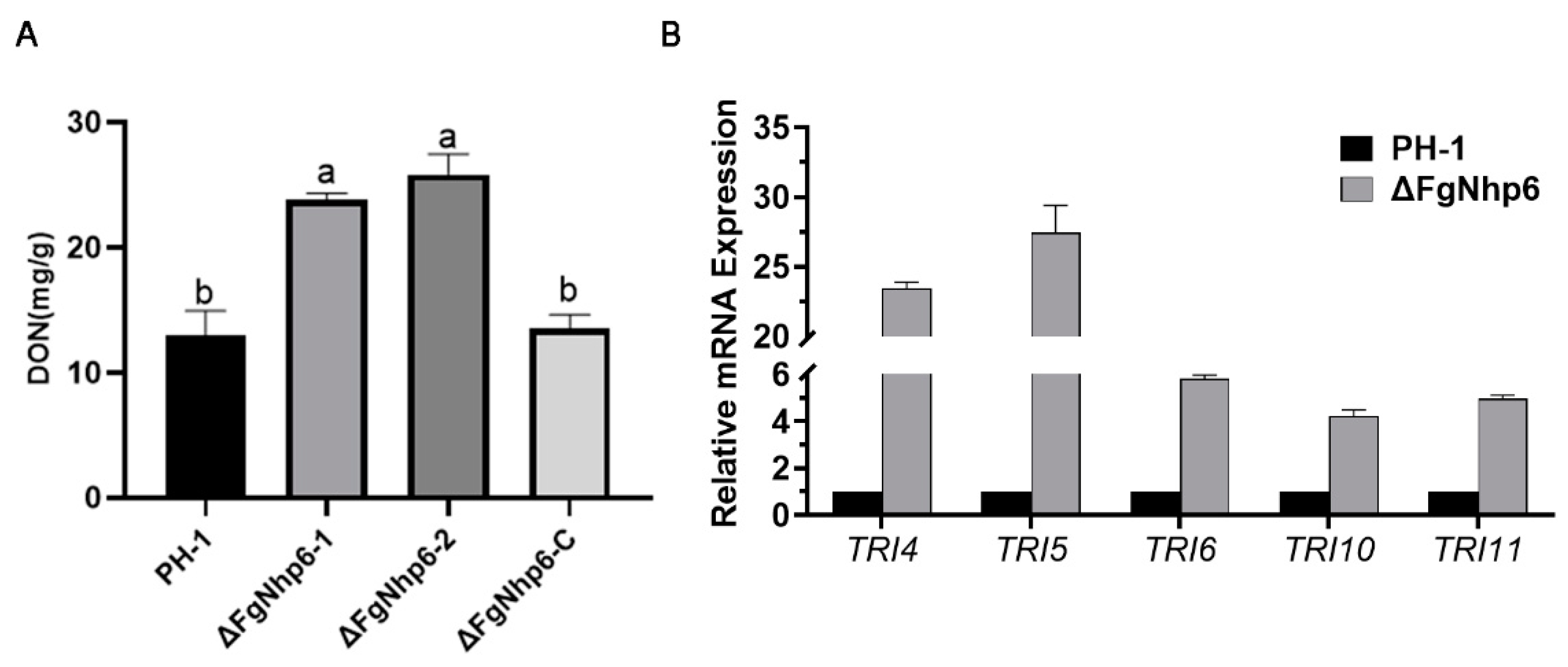 Pathogens 13 00592 g006
