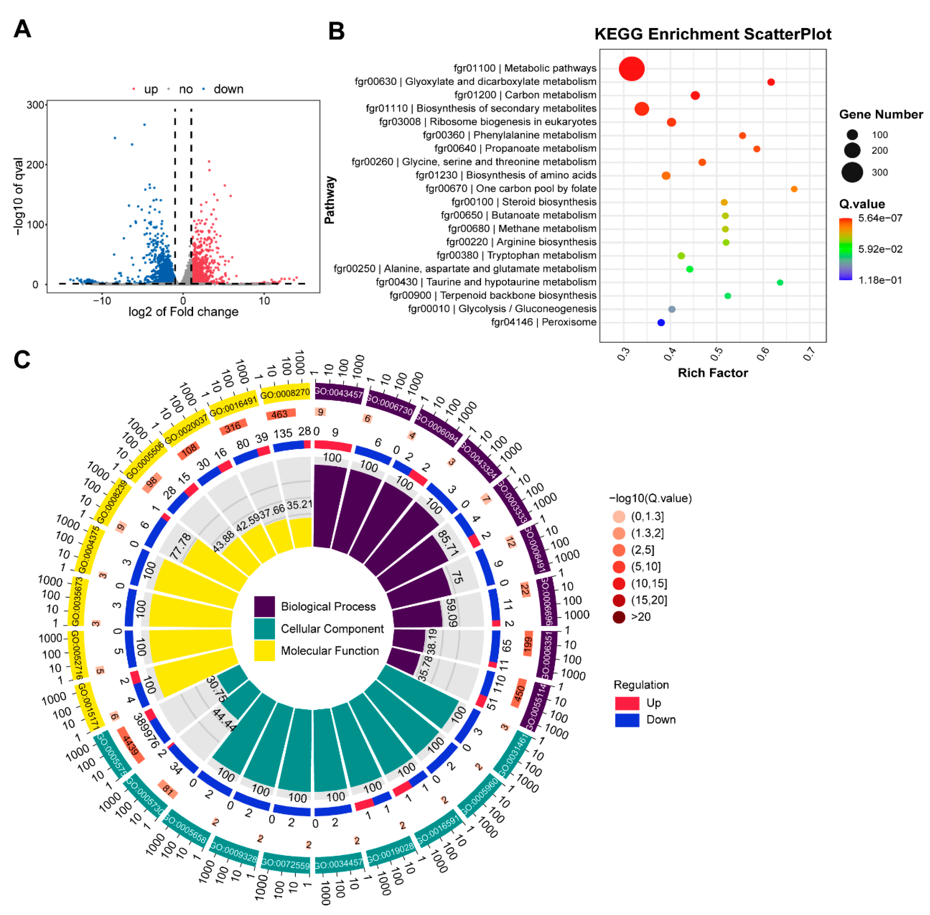 Pathogens 13 00592 g007