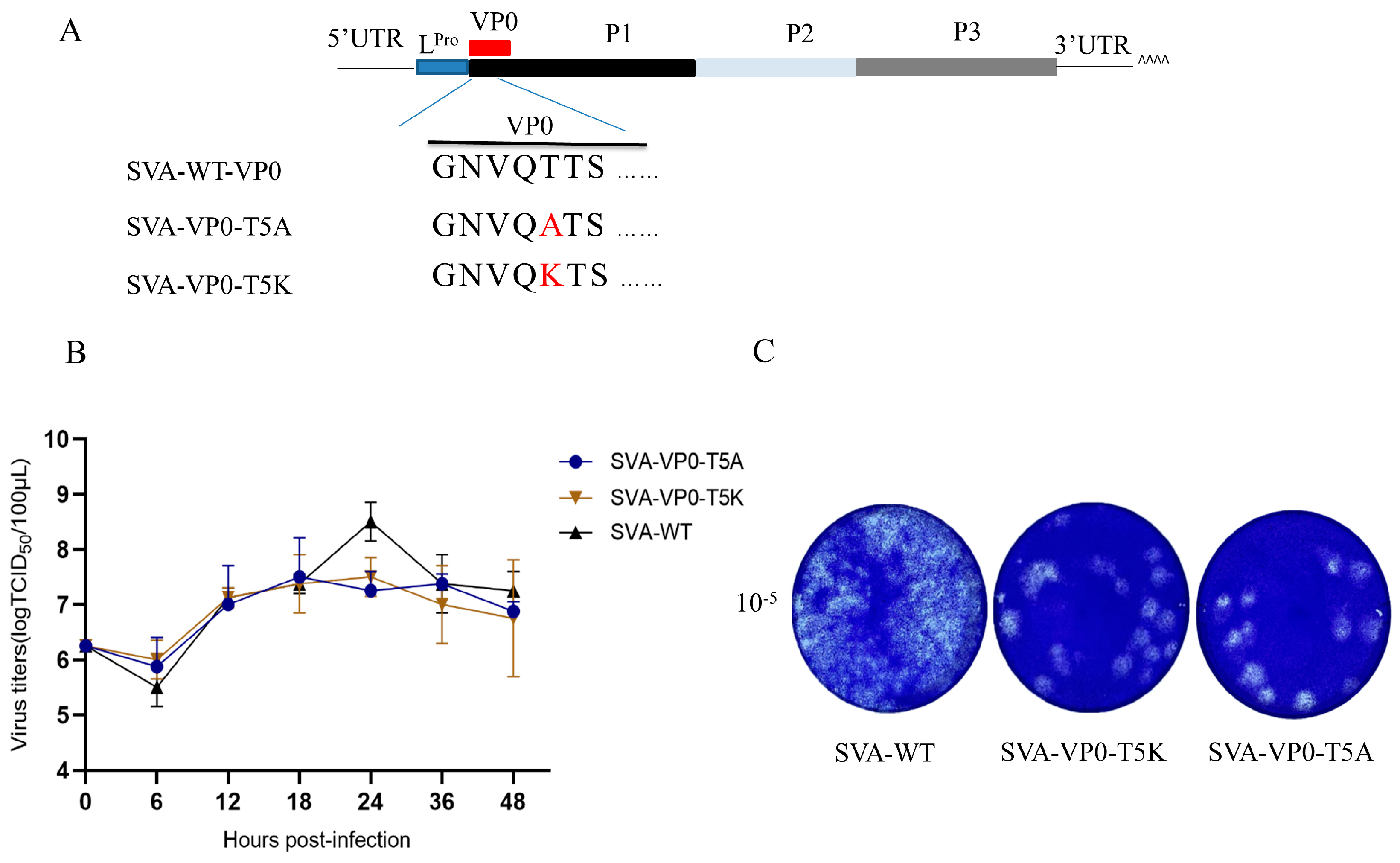 Pathogens 13 00601 g005