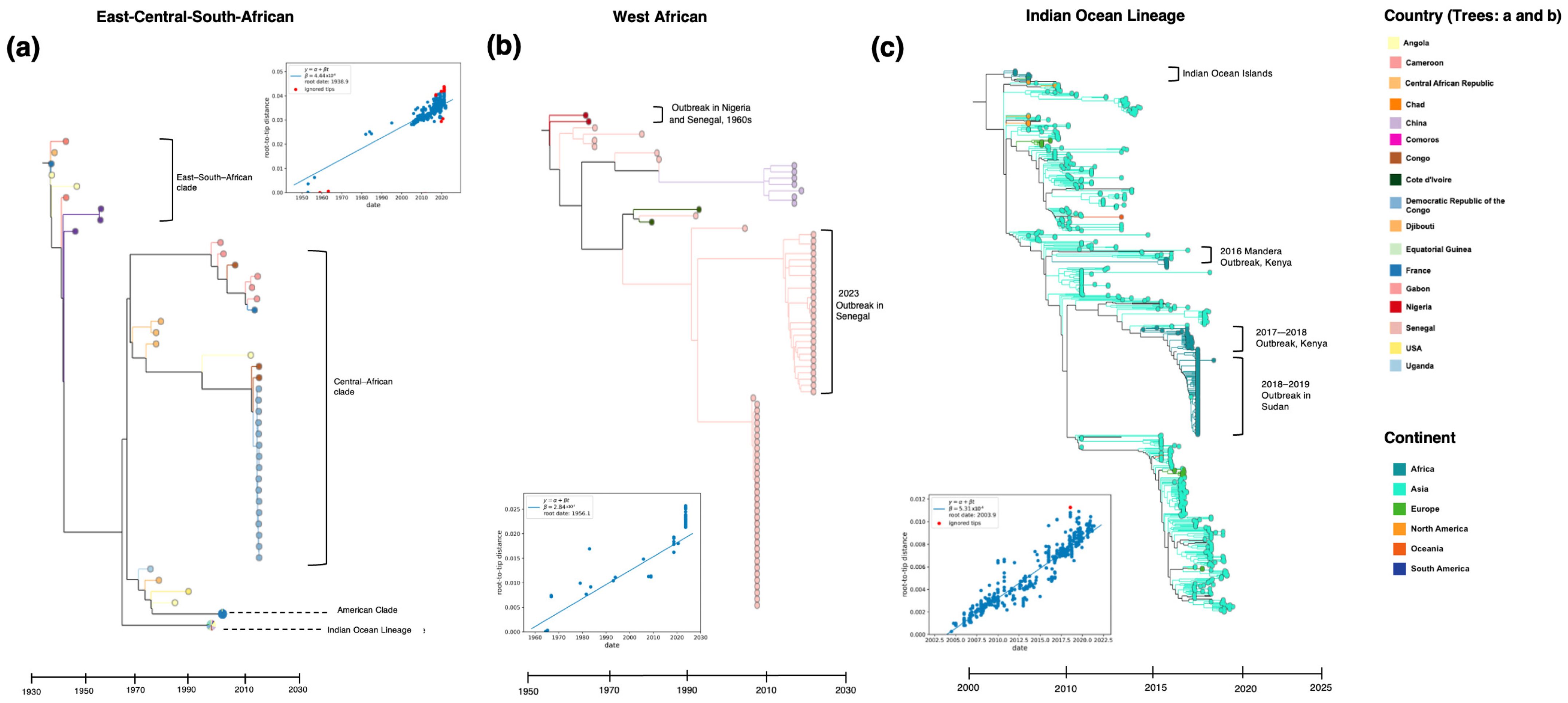 Pathogens 13 00605 g004