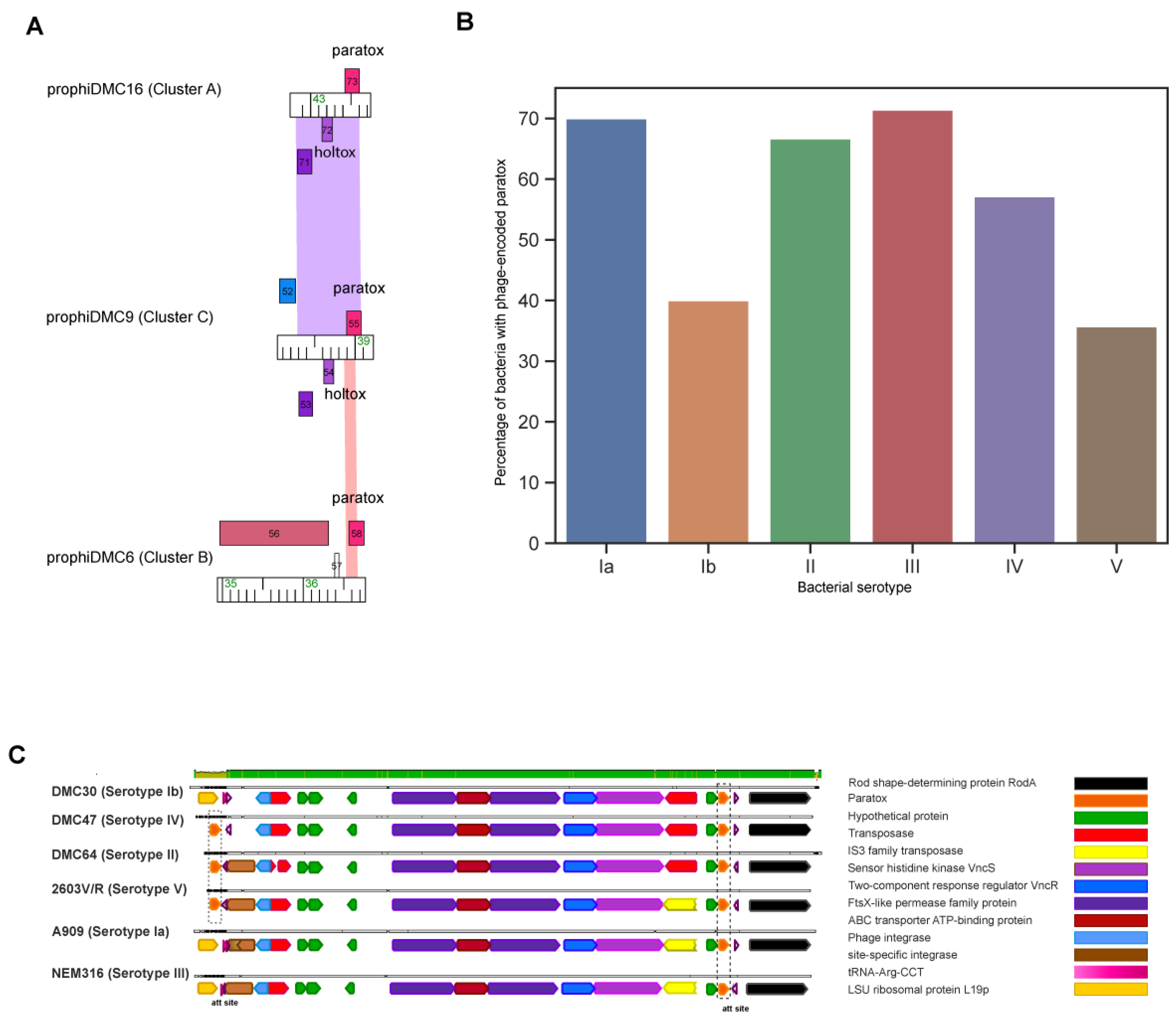 Pathogens 13 00610 g005