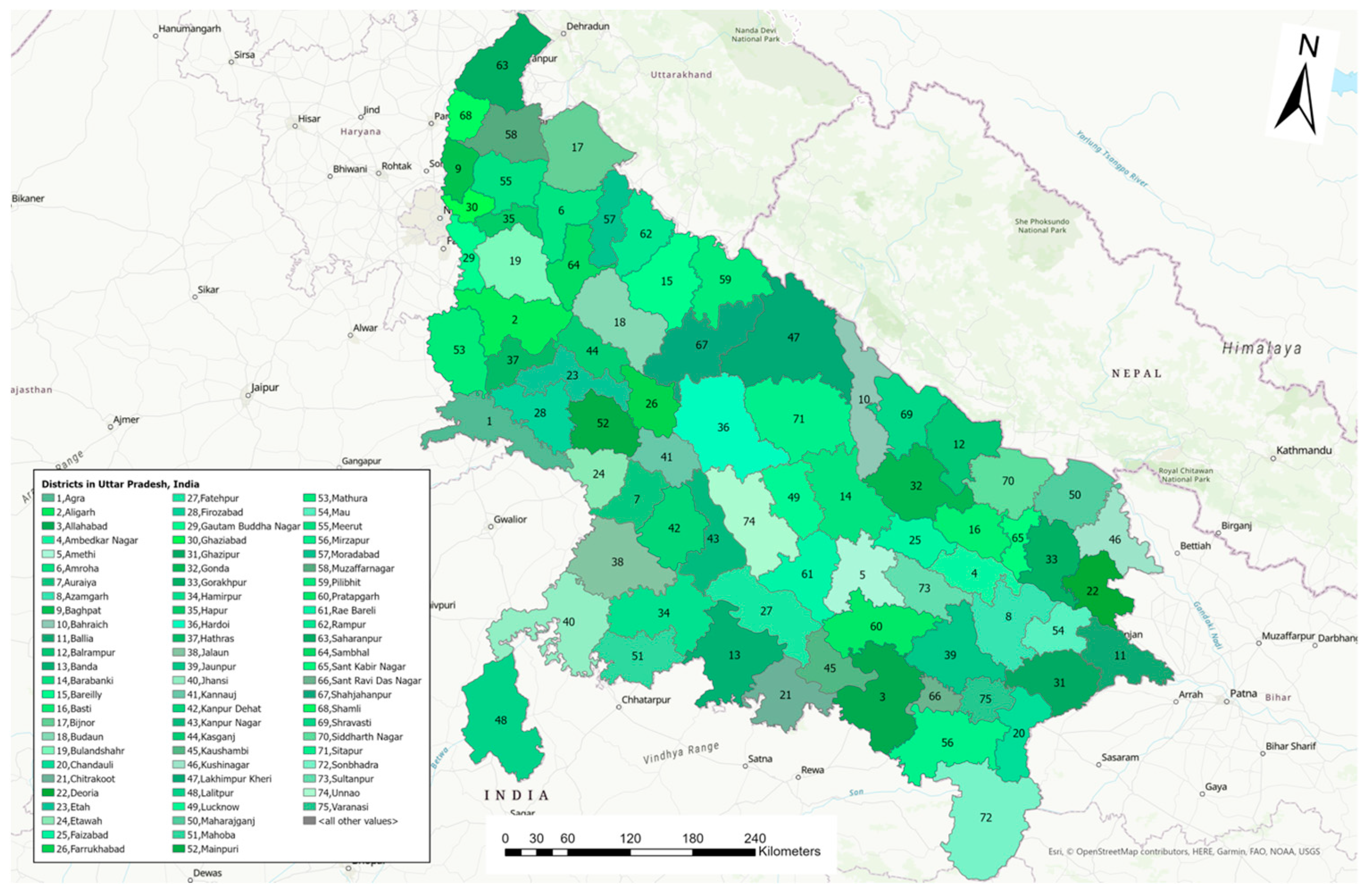 Pathogens 13 00611 g001