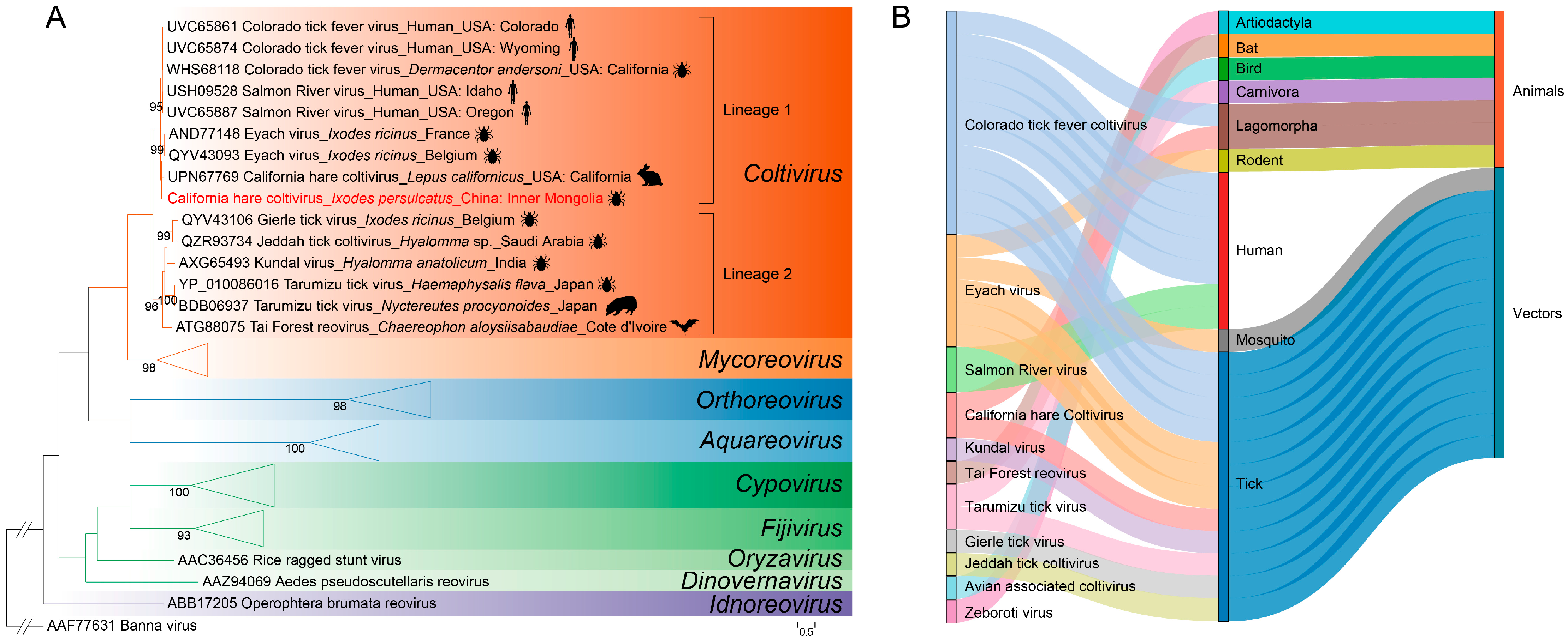 Pathogens 13 00614 g004