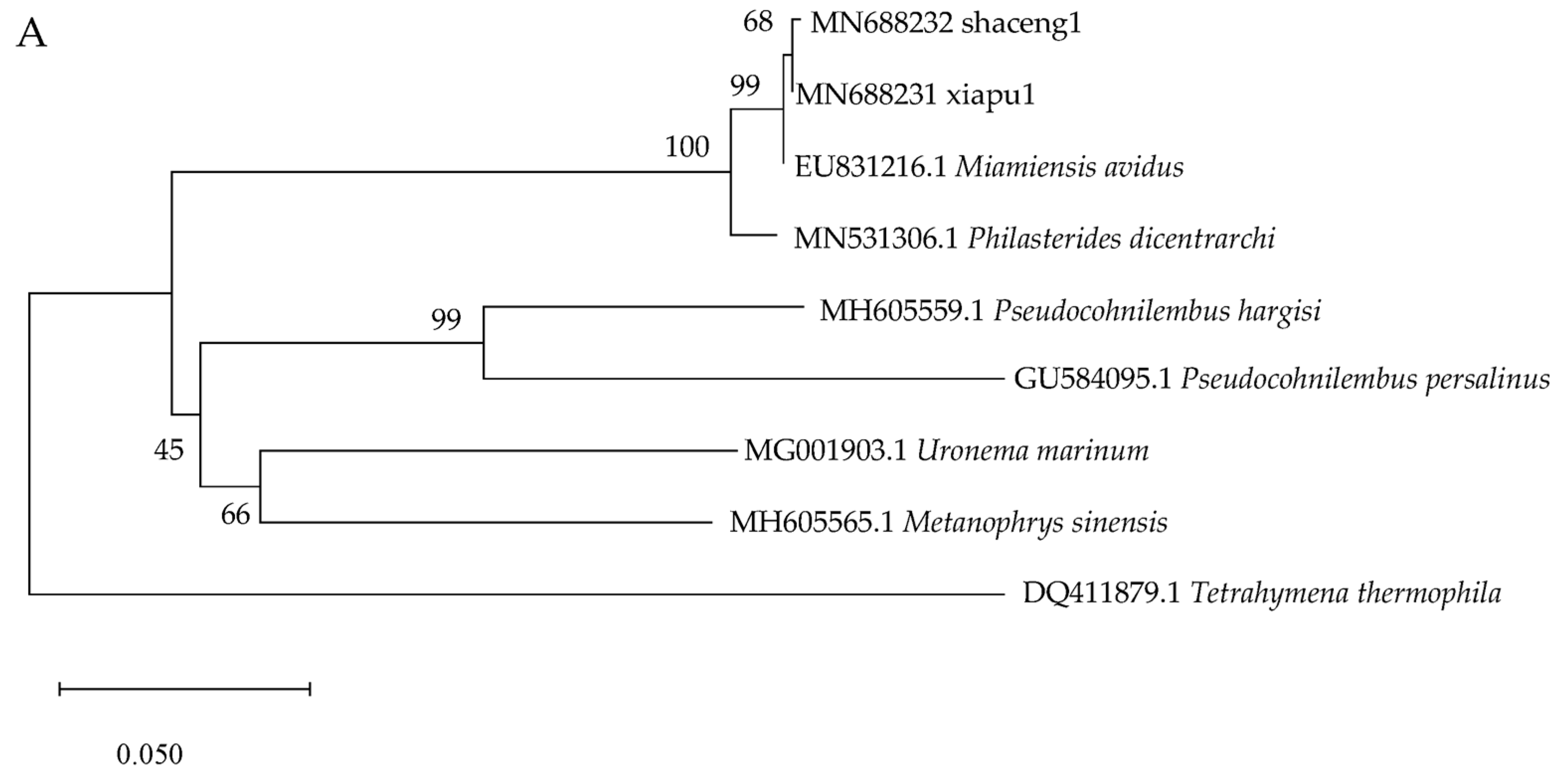 Pathogens 13 00618 g005a